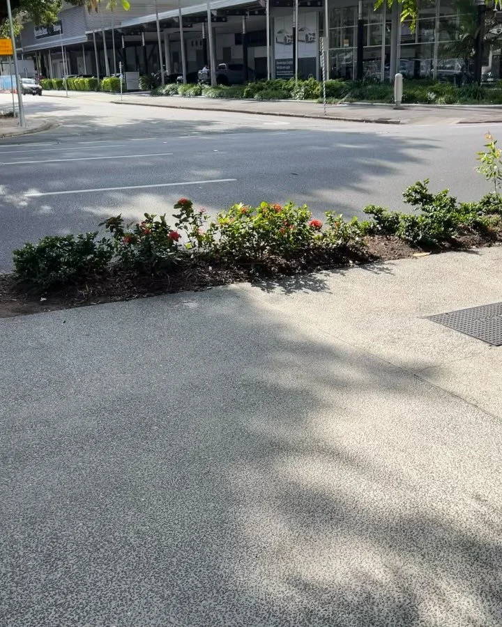 Existence is all about moments in time and shifts in space. Found this little bloom thriving in the middle of Fortitude Valley. 🌺✨

#UrbanNature #FortitudeValley #CityBlooms #StreetPhotography #NatureInTheCity #BrisbanePhotography #JustLuis #JustLui