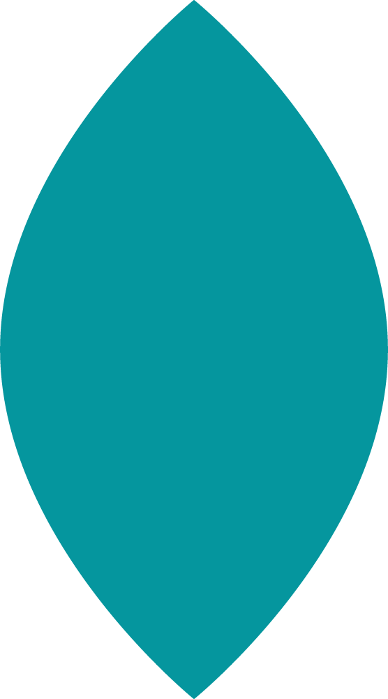 Teal almond-shaped shield on white background