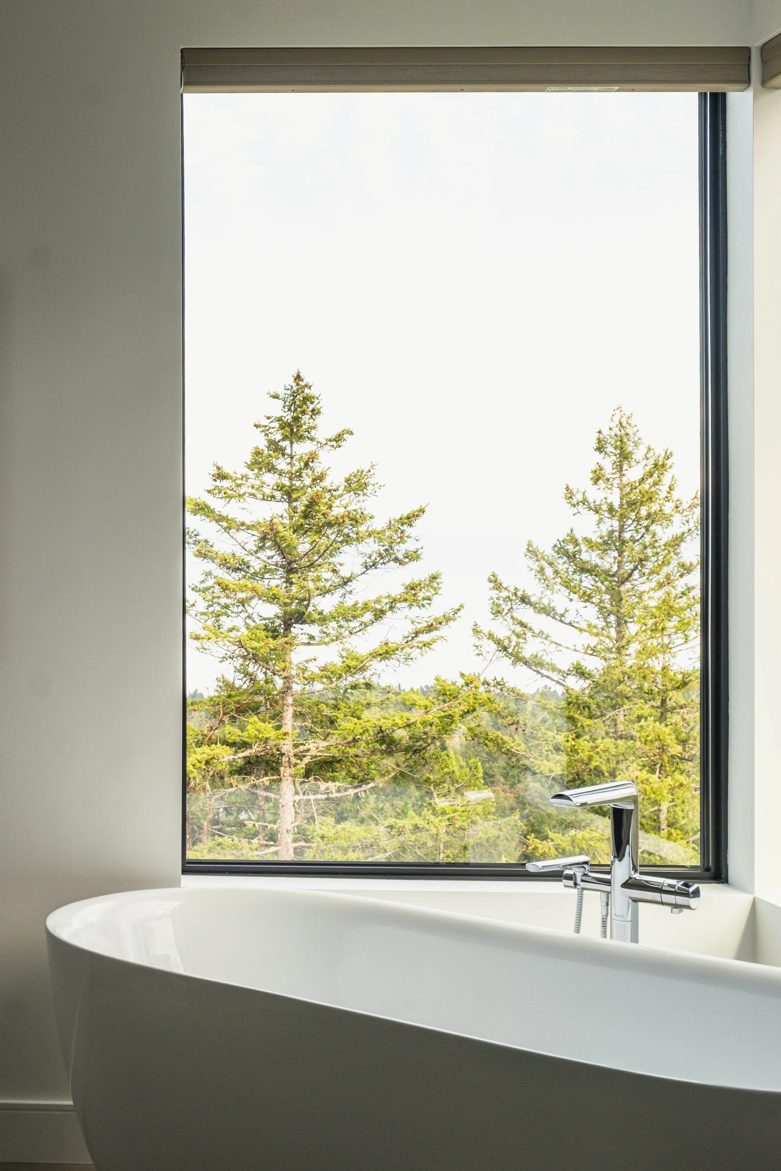A white bathtub positioned in front of a large window with a scenic view of green pine trees outdoors.