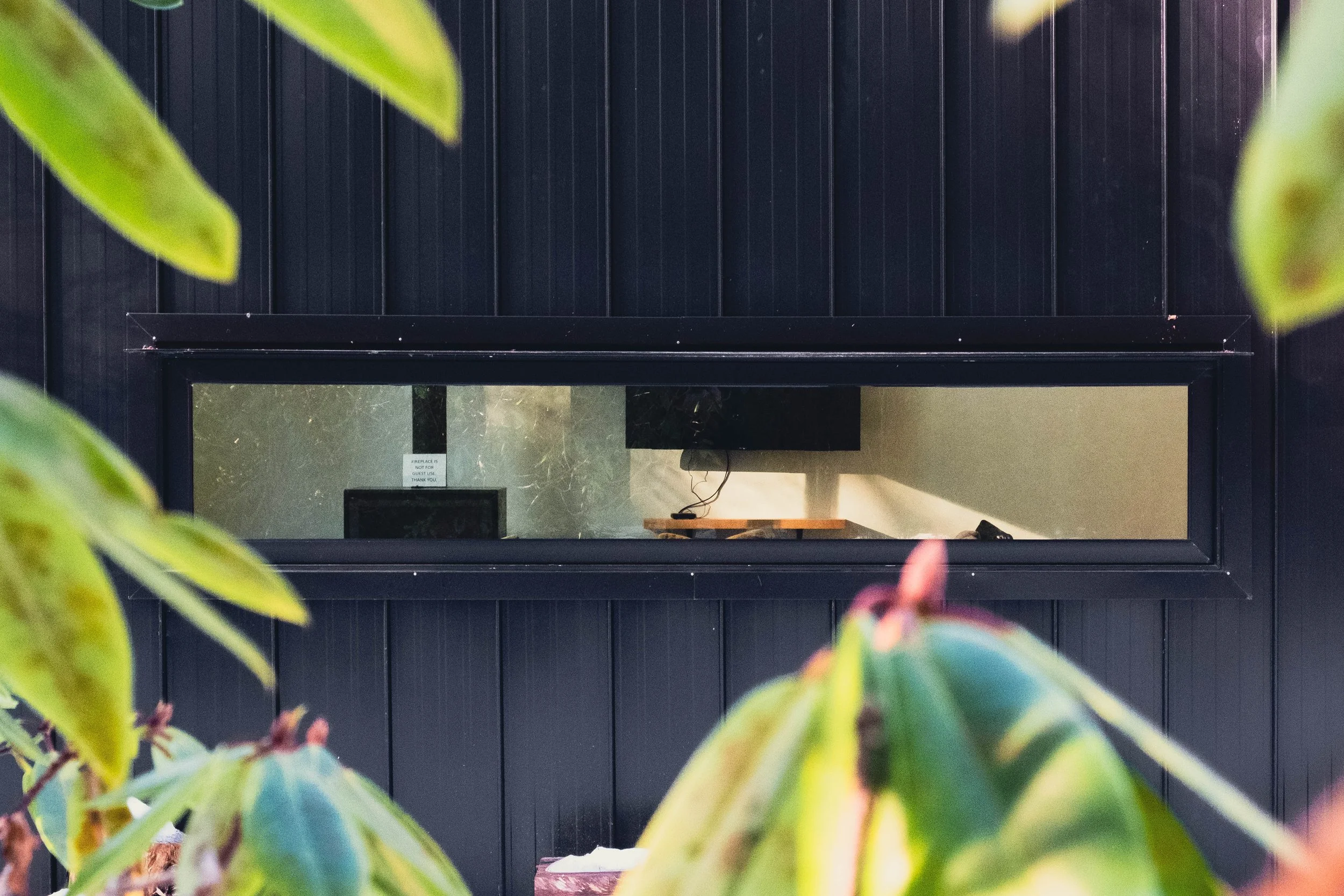 View through a black window frame into a room with a computer monitor on a desk and a small sign on the wall, with green foliage partially obscuring the view.