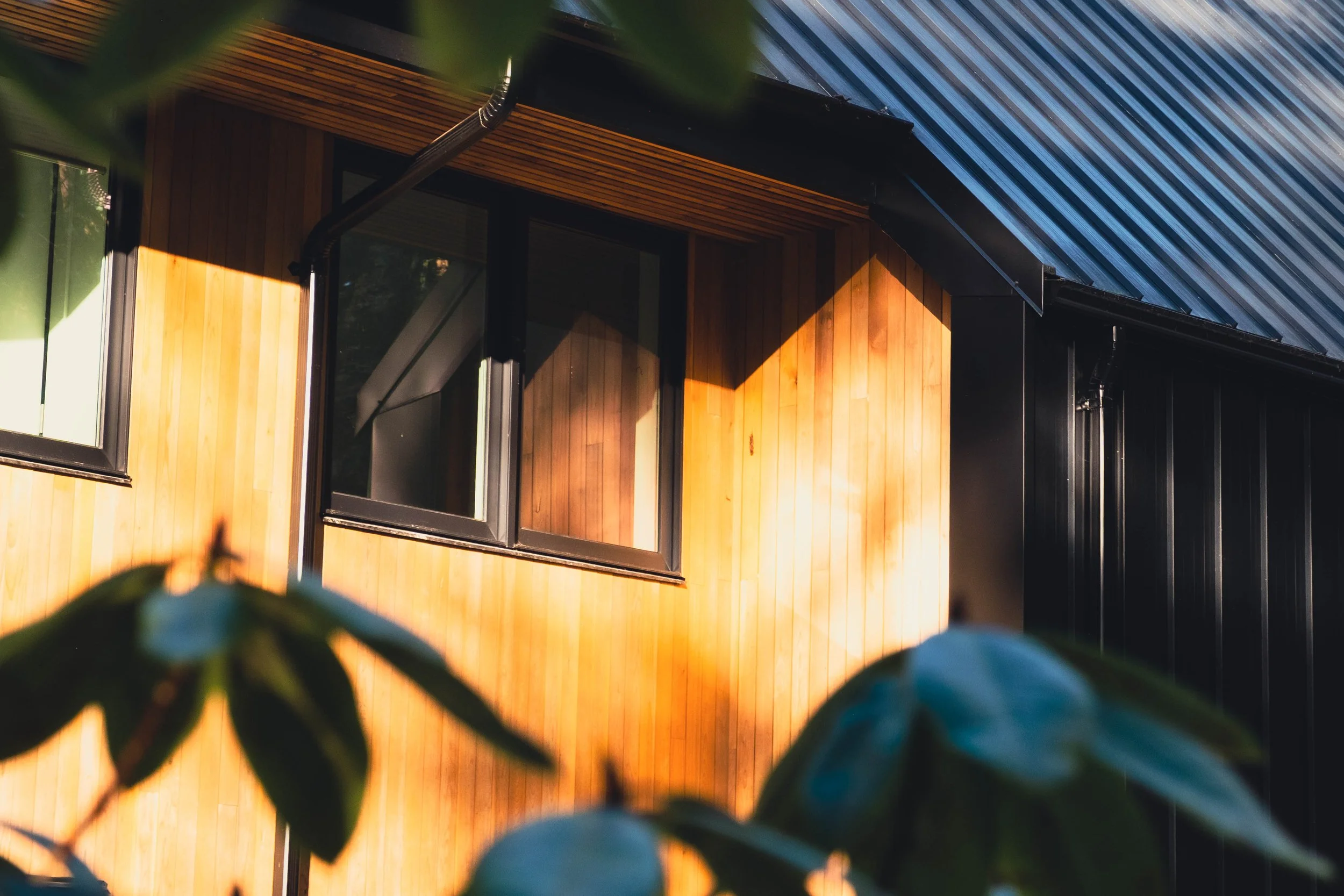 Close-up of a modern house with wooden and black metal exterior, showing a window and a downspout, with greenery in the foreground.