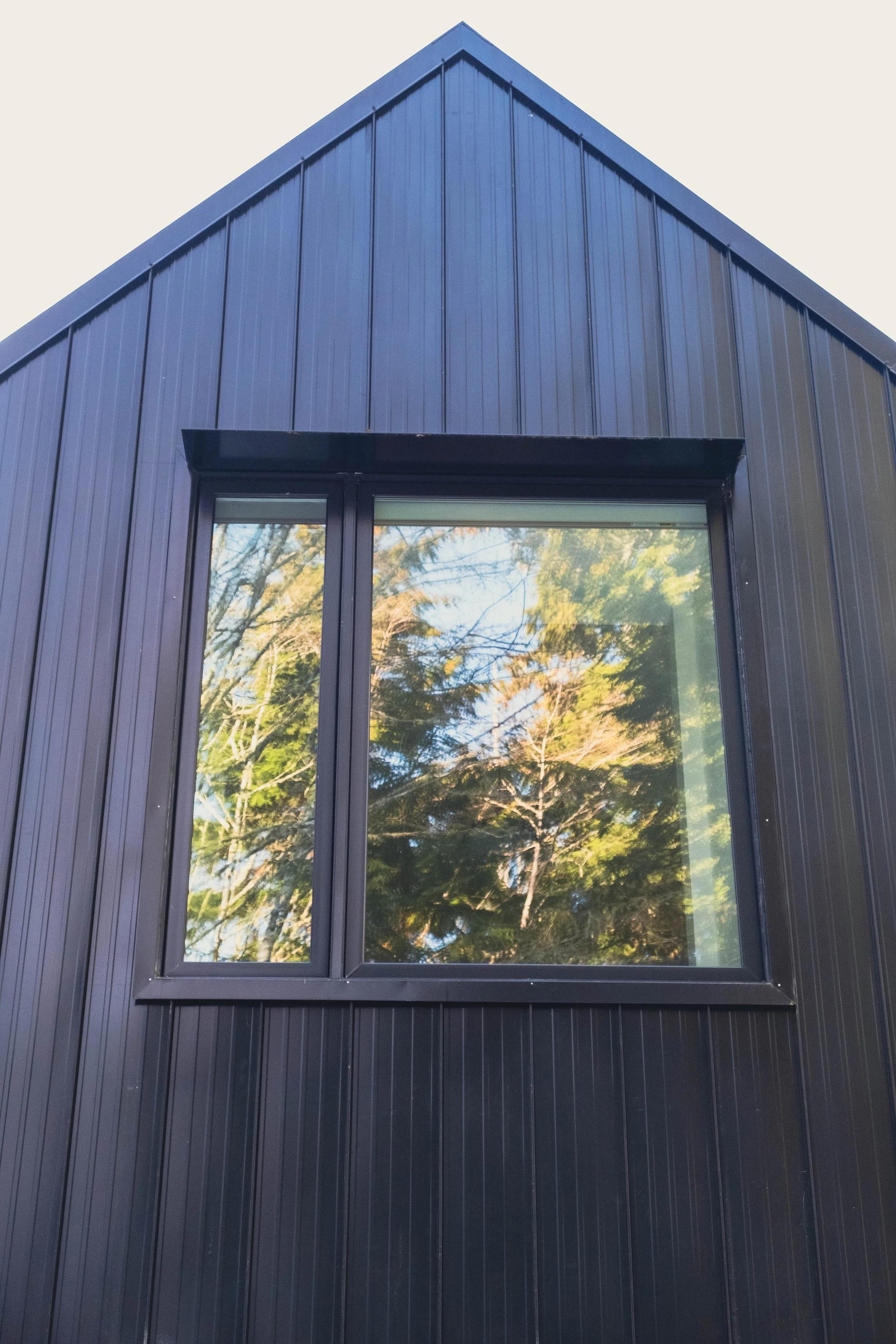 Close-up of a modern black metal house exterior with a large window reflecting trees and sky.