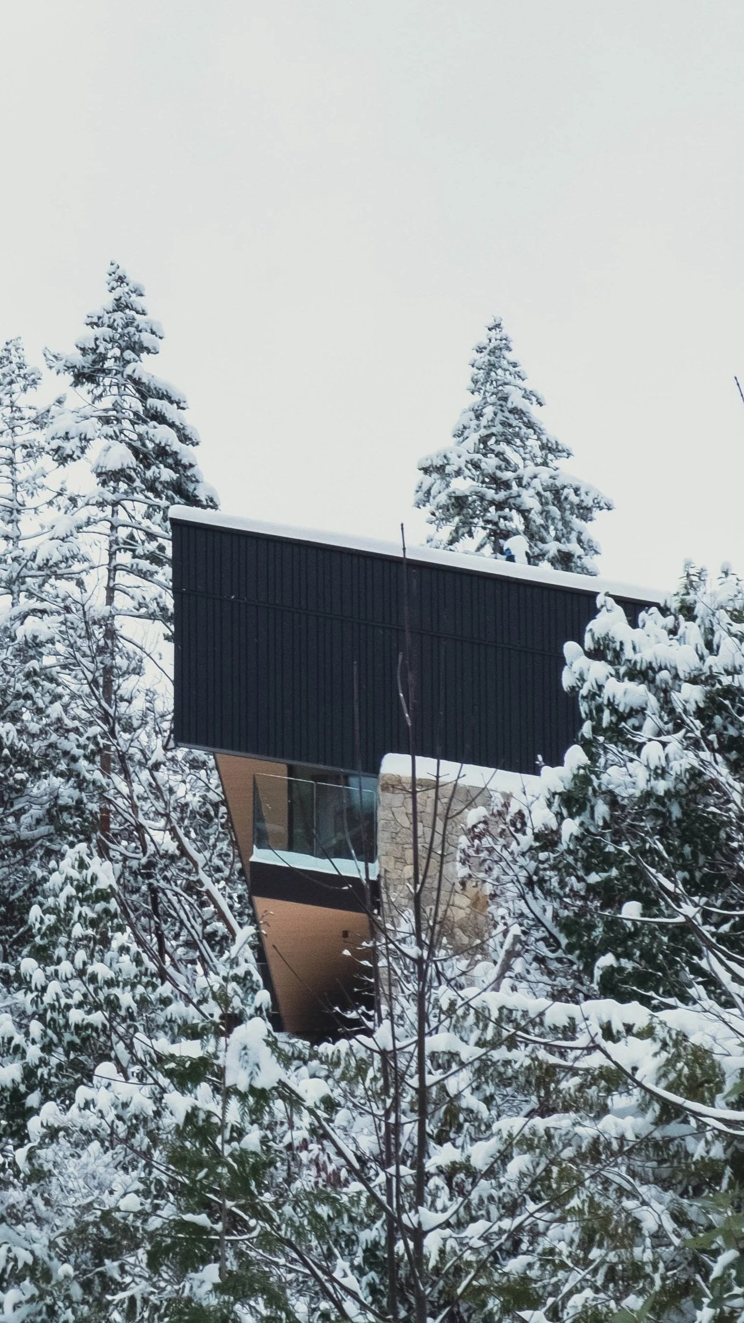 Modern house with black exterior walls, large windows, stone accents, surrounded by snow-covered trees in a winter landscape.