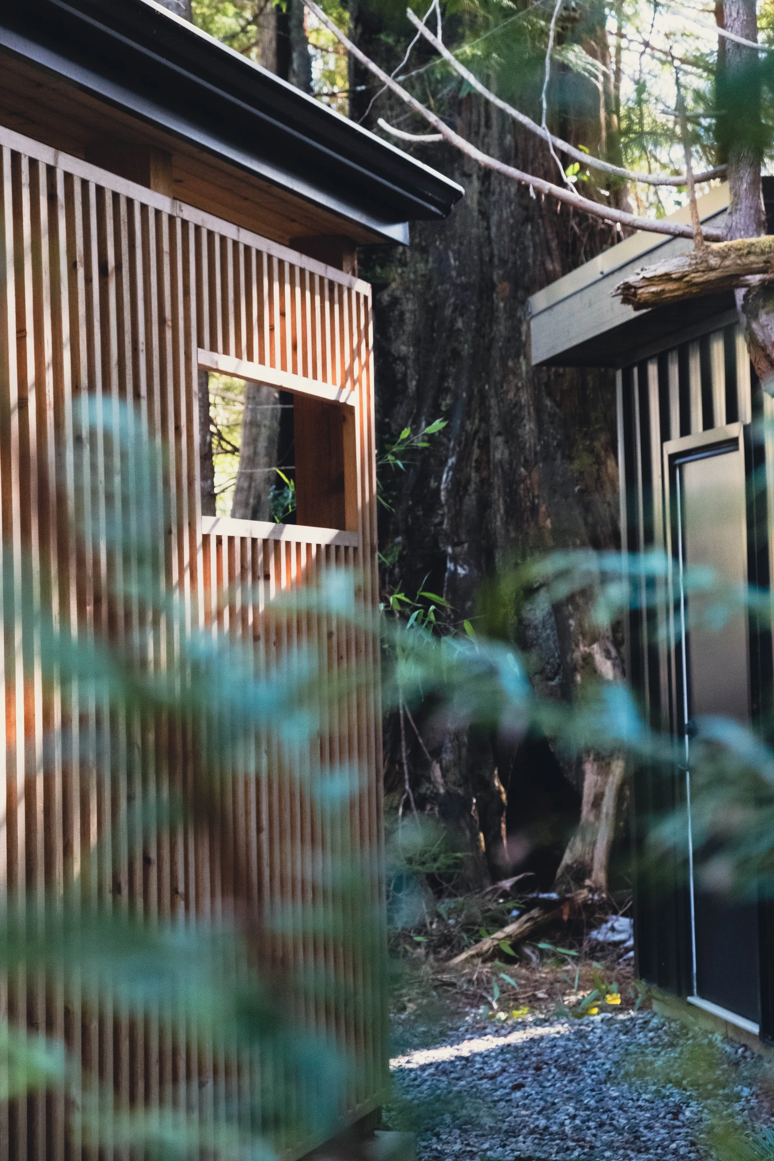 Close-up of modern wooden slatted exterior walls of tiny houses or cabins in a forest setting with trees in the background.