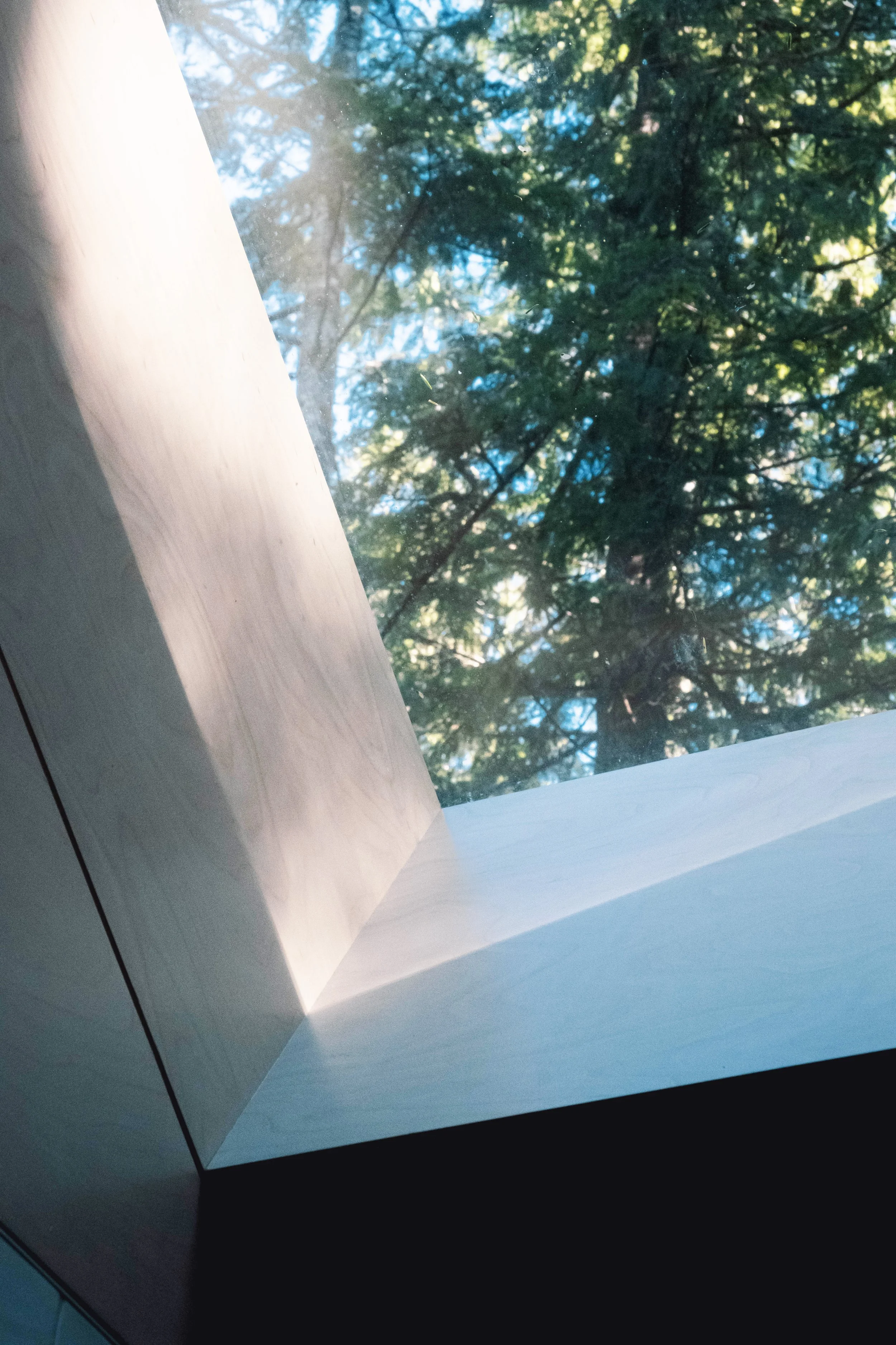 View through a glass window showing green trees and a blue sky outside.