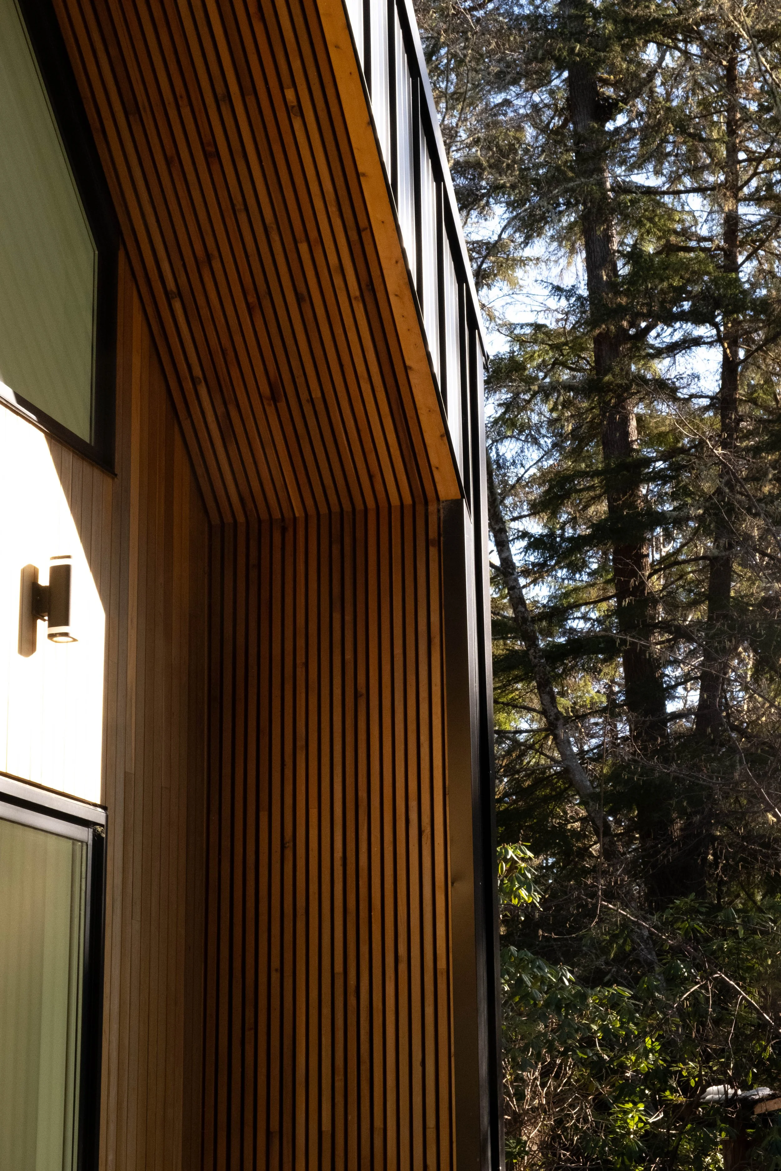 Close-up view of a modern building's exterior with wooden paneling on the wall and large windows, surrounded by tall trees.
