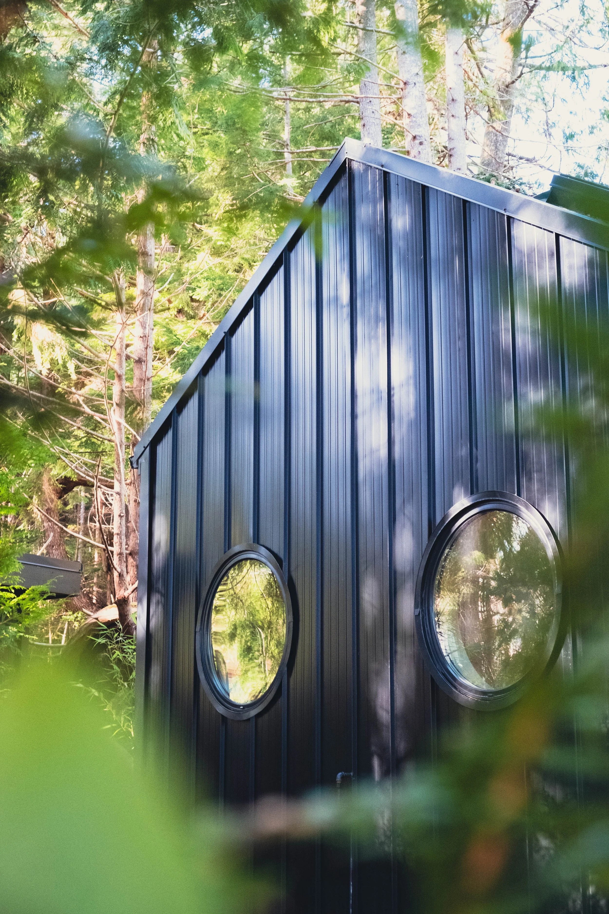 Black modern house with two circular windows, forest background, and leaves partially obscuring the view.