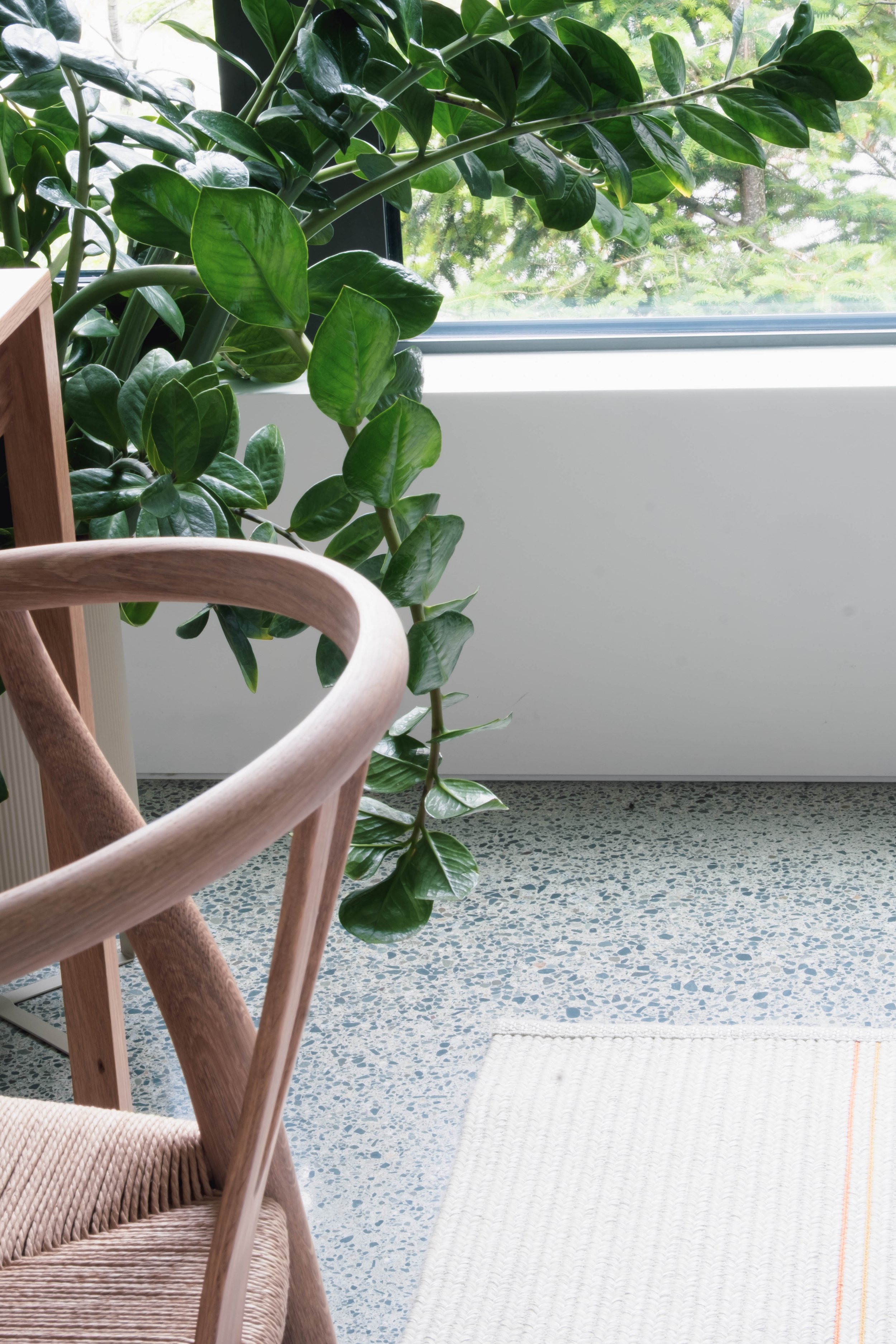 Indoor scene with a green leafy plant next to a large window, a wicker chair with rounded wooden armrest, a wooden table, and a woven rug on a speckled blue and gray floor.