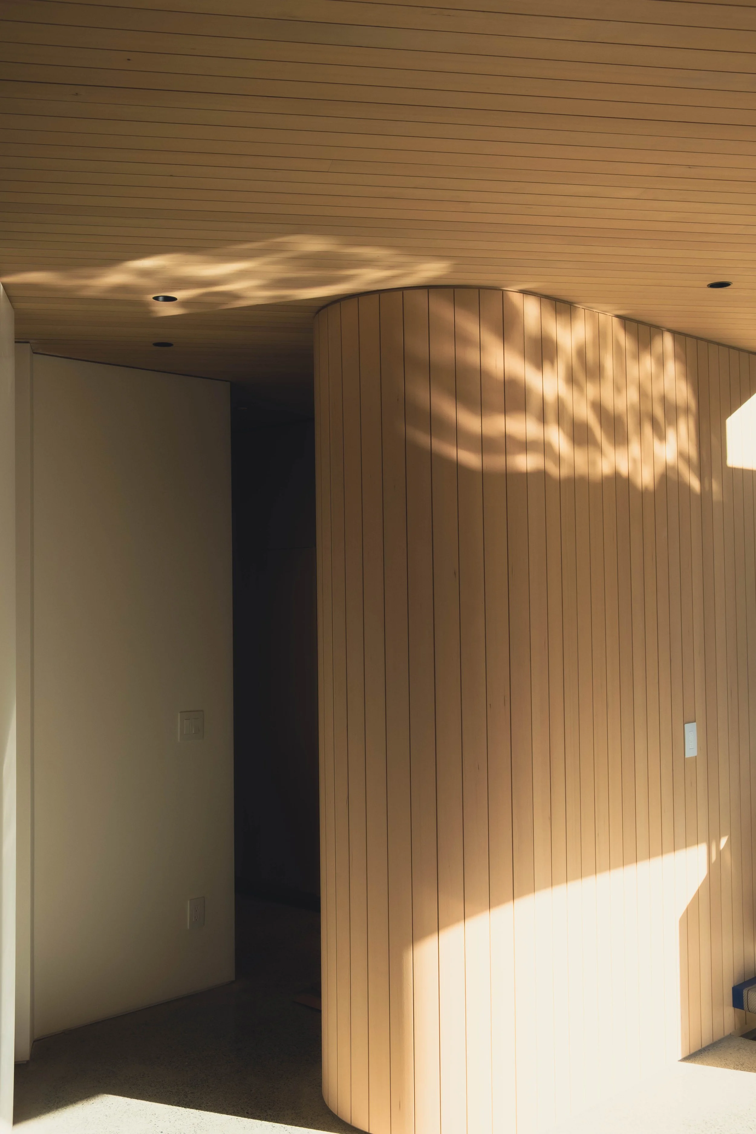 Sunlight creates a leaf-shaped shadow on a curved wooden wall and a ceiling with wooden paneling.