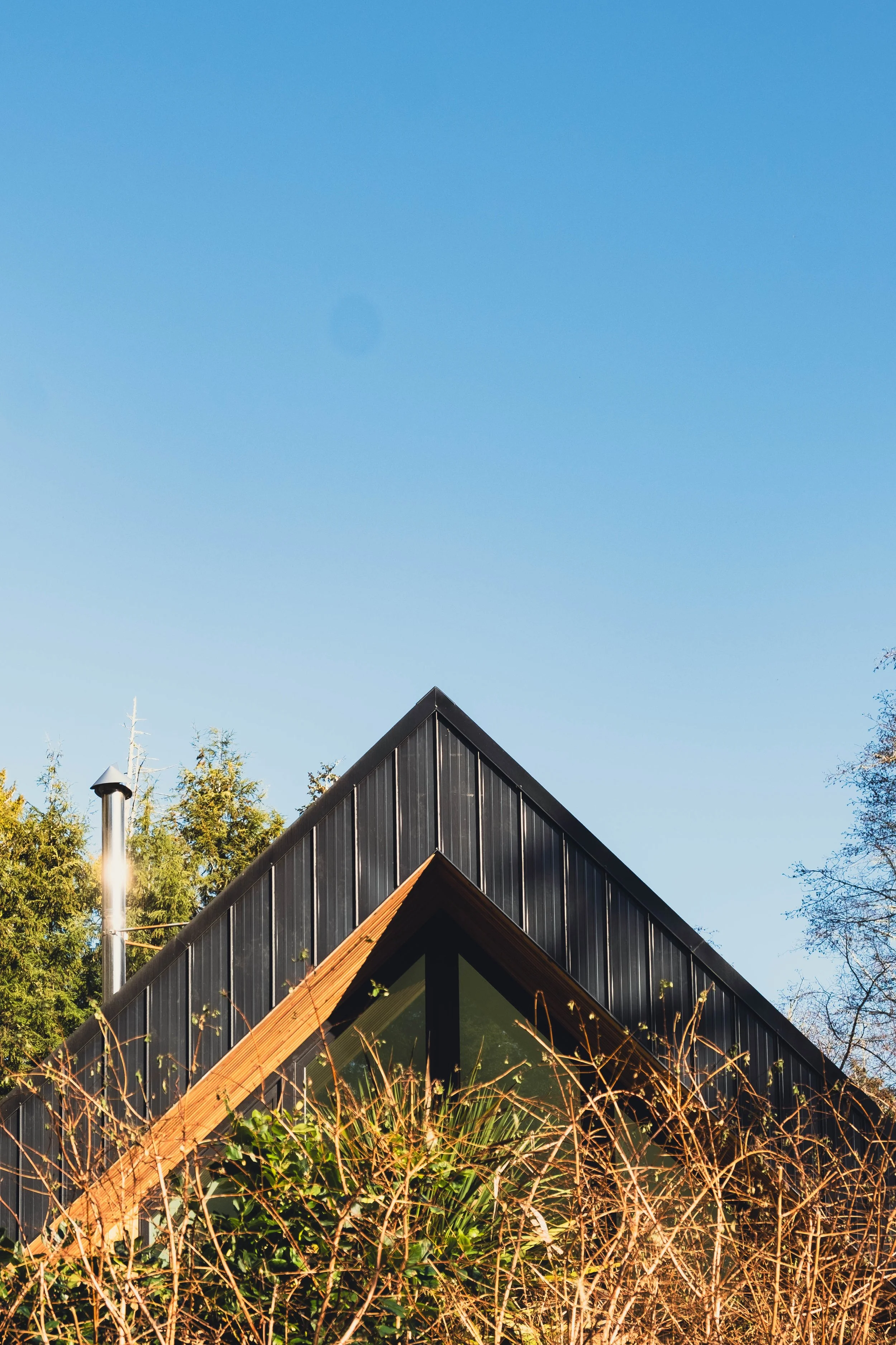 A modern house with a black and wooden exterior, surrounded by dried plants and trees, under a clear blue sky.