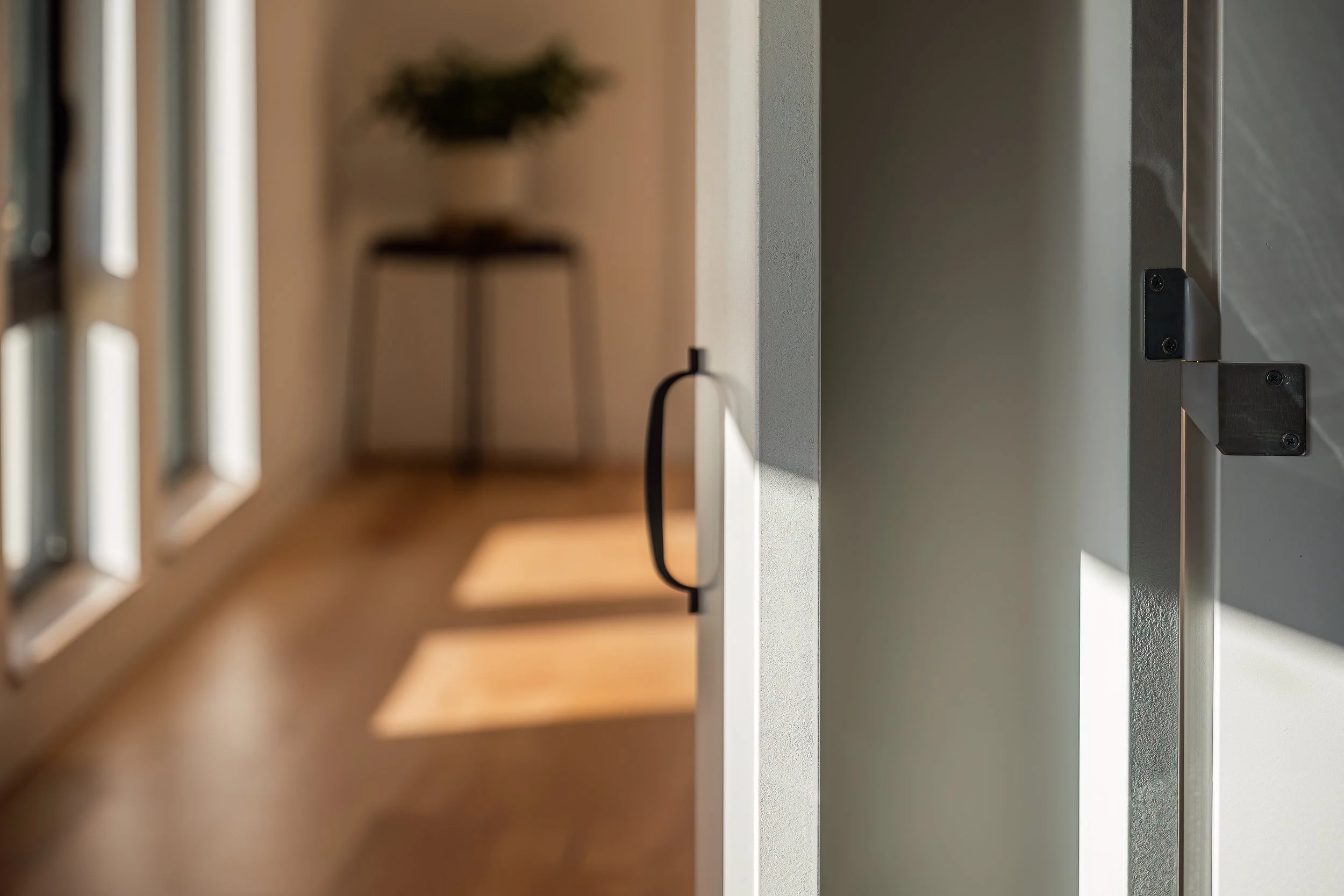 Close-up of a door hinge on a light-colored door, slightly open, with a blurred hallway and a small table with a plant in the background, natural light coming through windows.