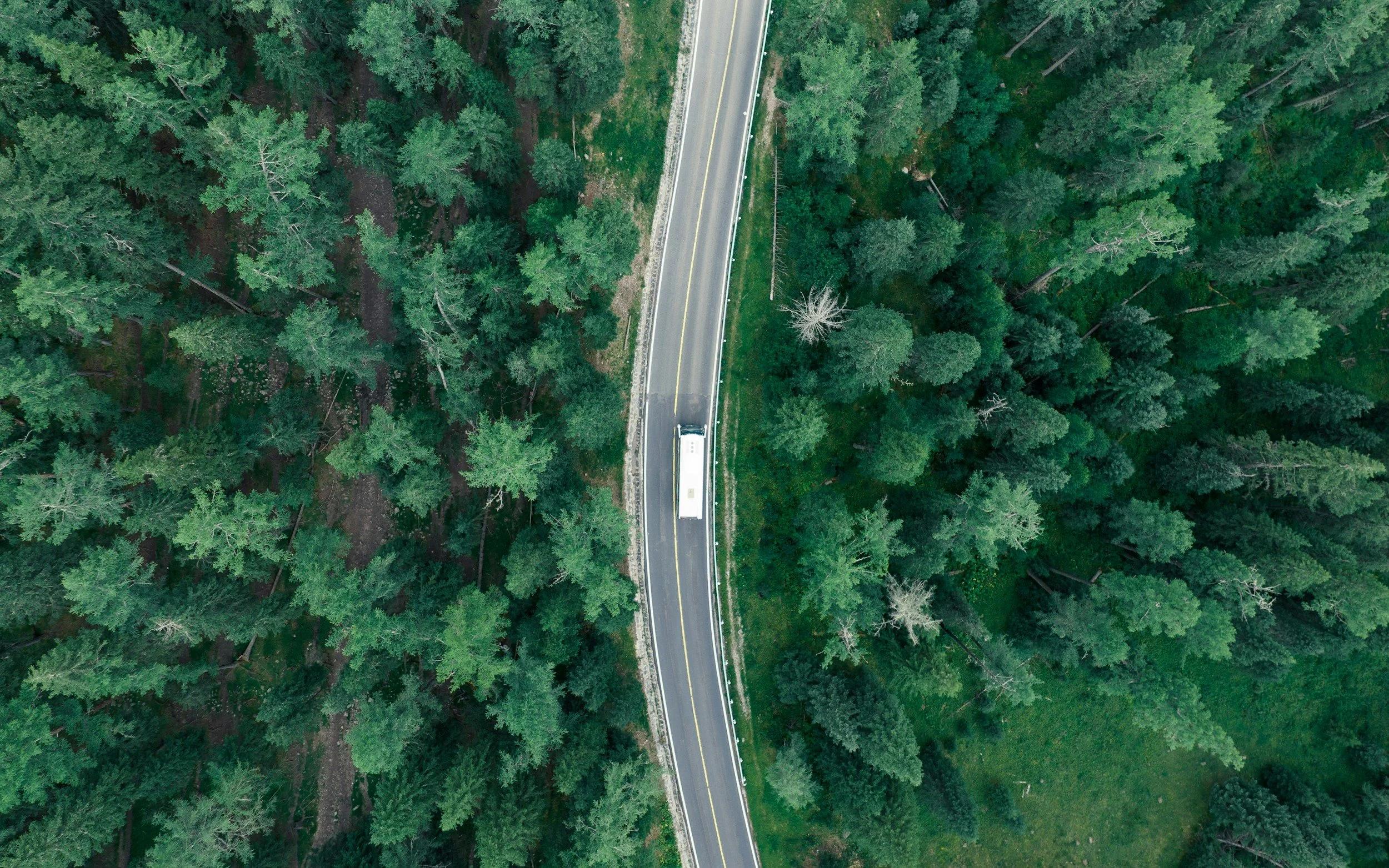 An aerial view of a long straight road running through a dense forest with tall green trees.