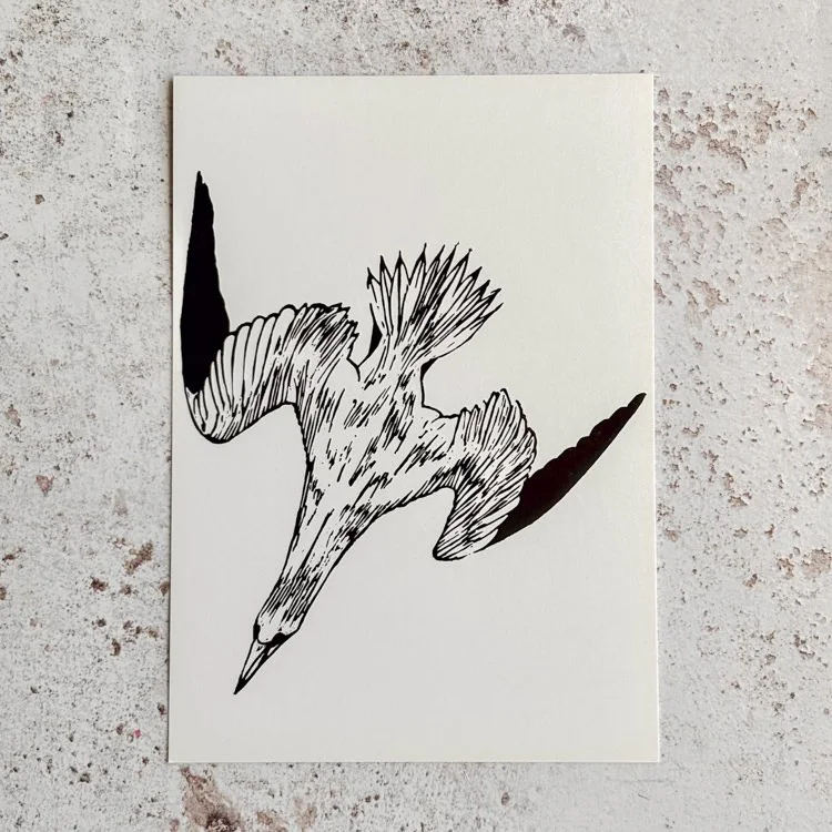 Diving Gannet Card - Original Lino-print by Jonathan Horner Hack