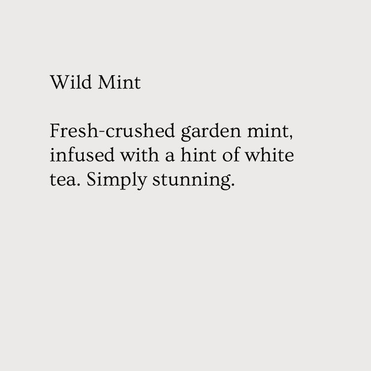 Fragrance Card - Wild Mint