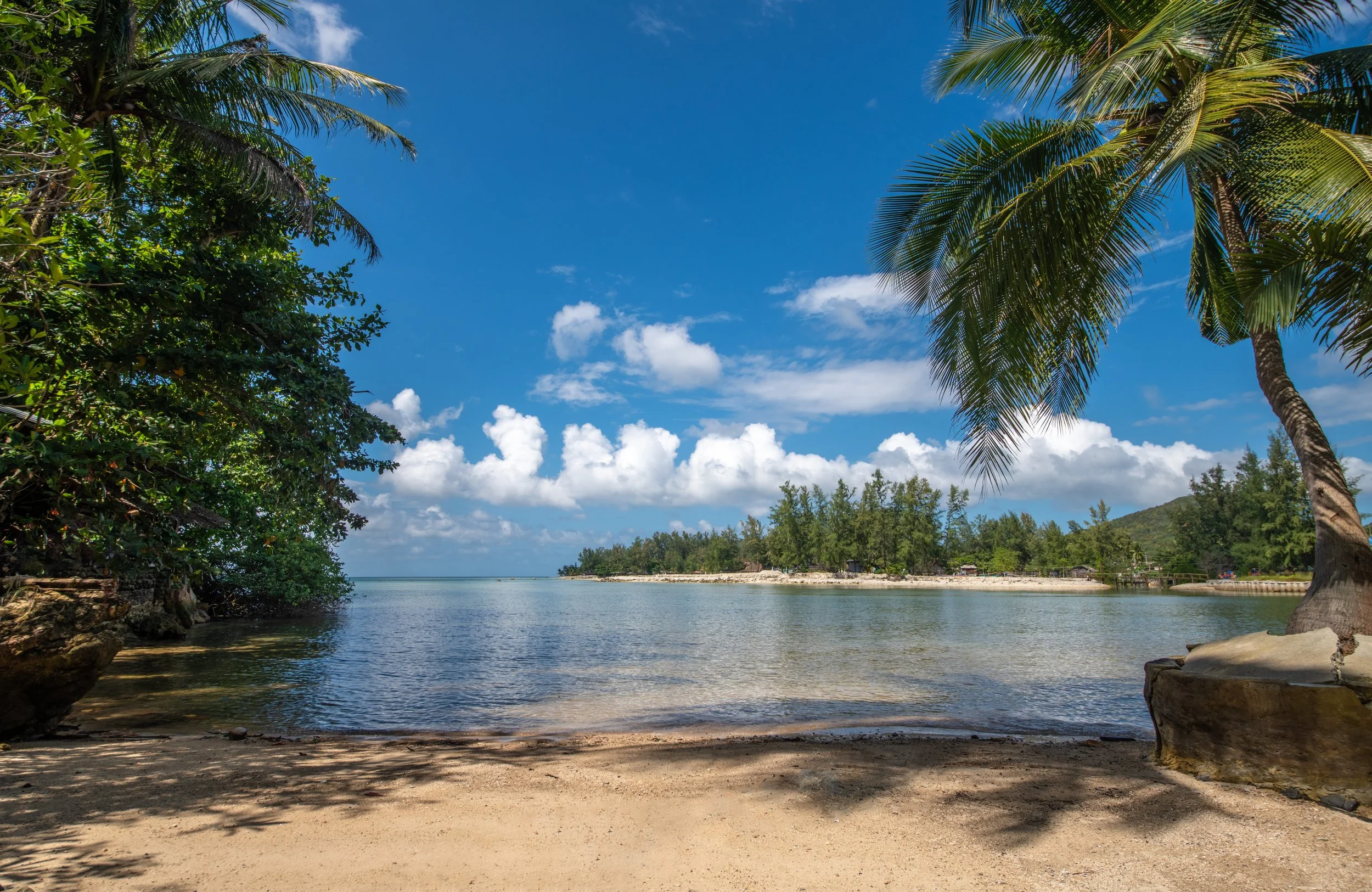A tropical beach scene with clear water, sandy shore, and lush green palm trees under a blue sky with a few clouds.