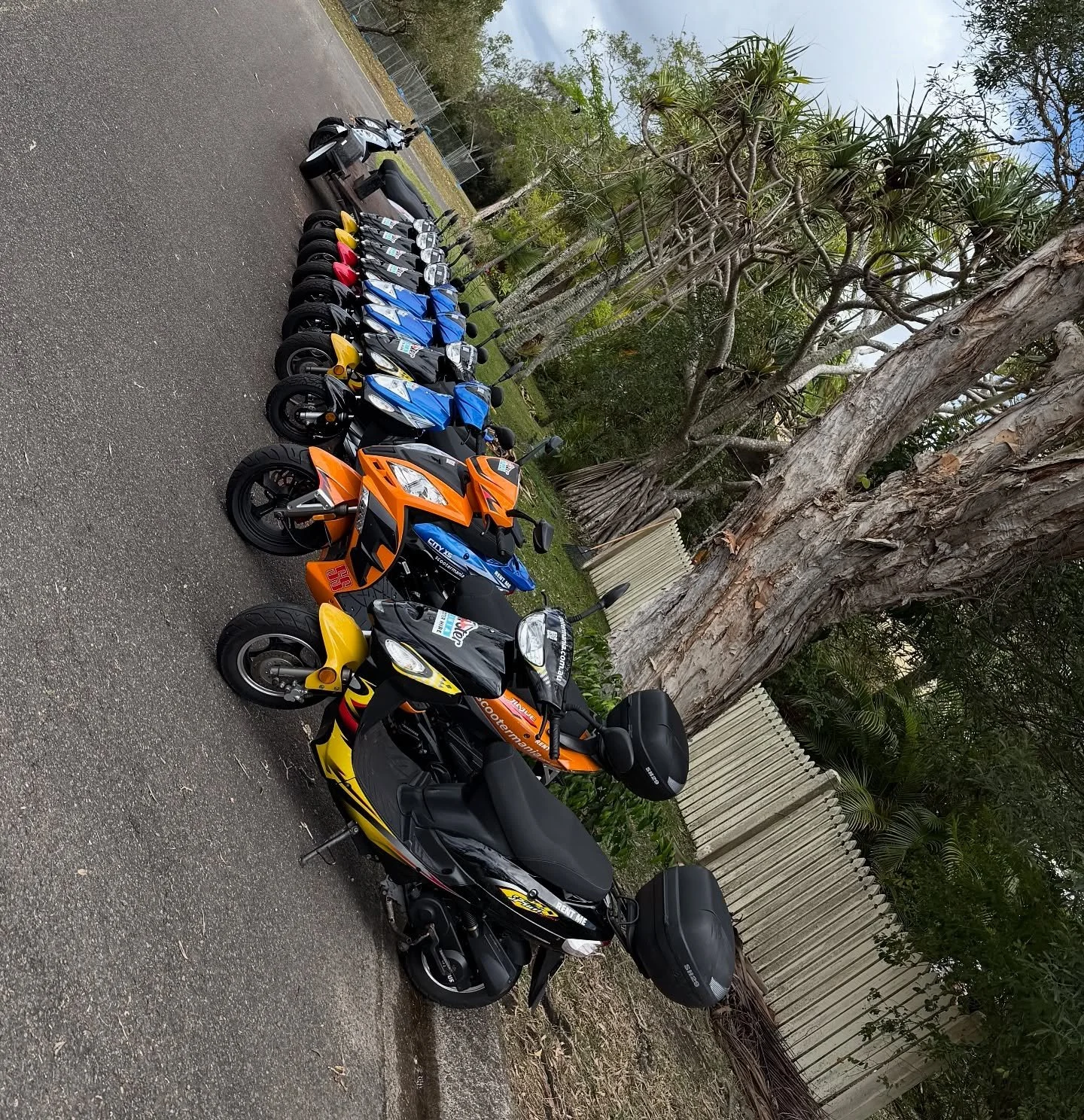 Another busy day !! ππ΅π΅π΅
#scootermanianoosa #scooter #scooterhire #noosa  #scootermania  #explorenoosa #sunshinecoast #noosatourism #hastingsstreet #ilovenoosa #noosaqld #funinthesun #scooterhirenoosa #planet_noosa