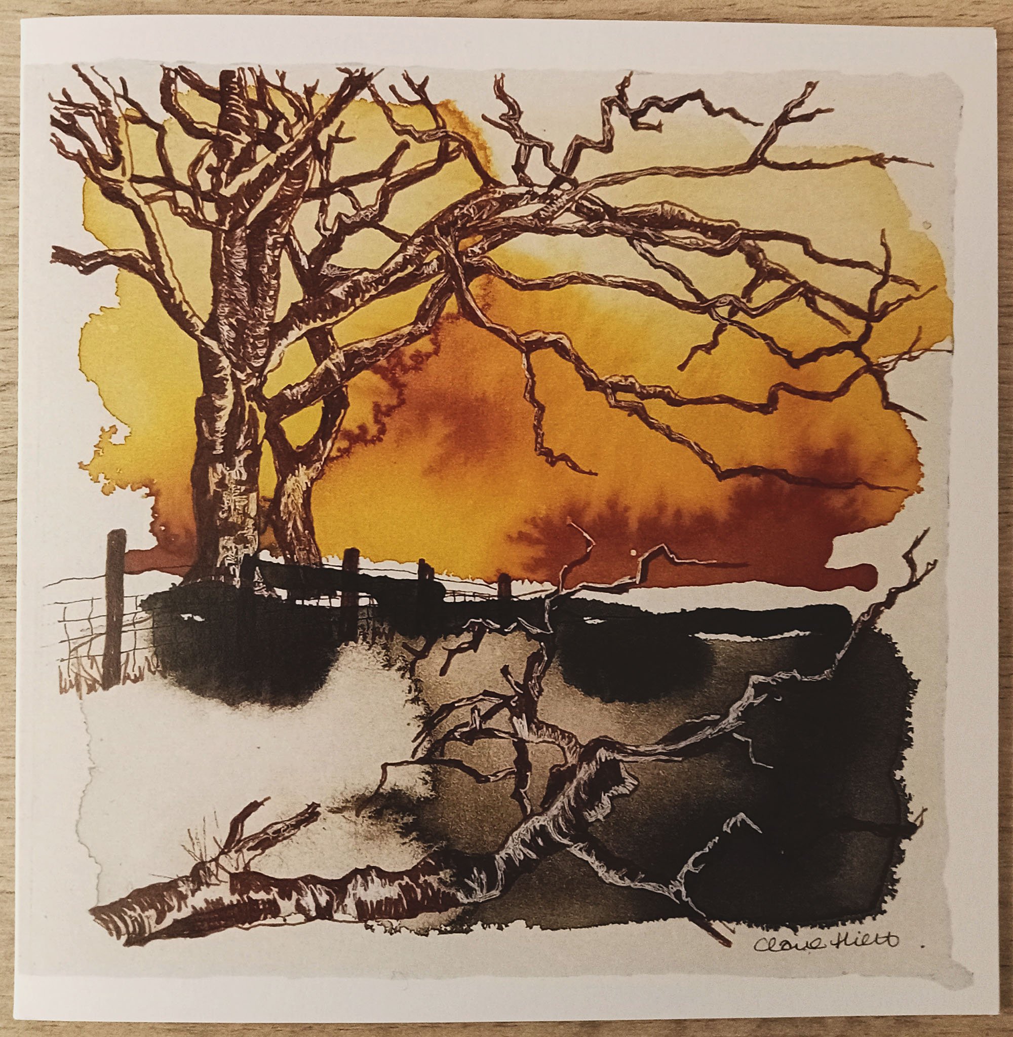 Mud_and_Wool_Artist_Residencies_1.jpg