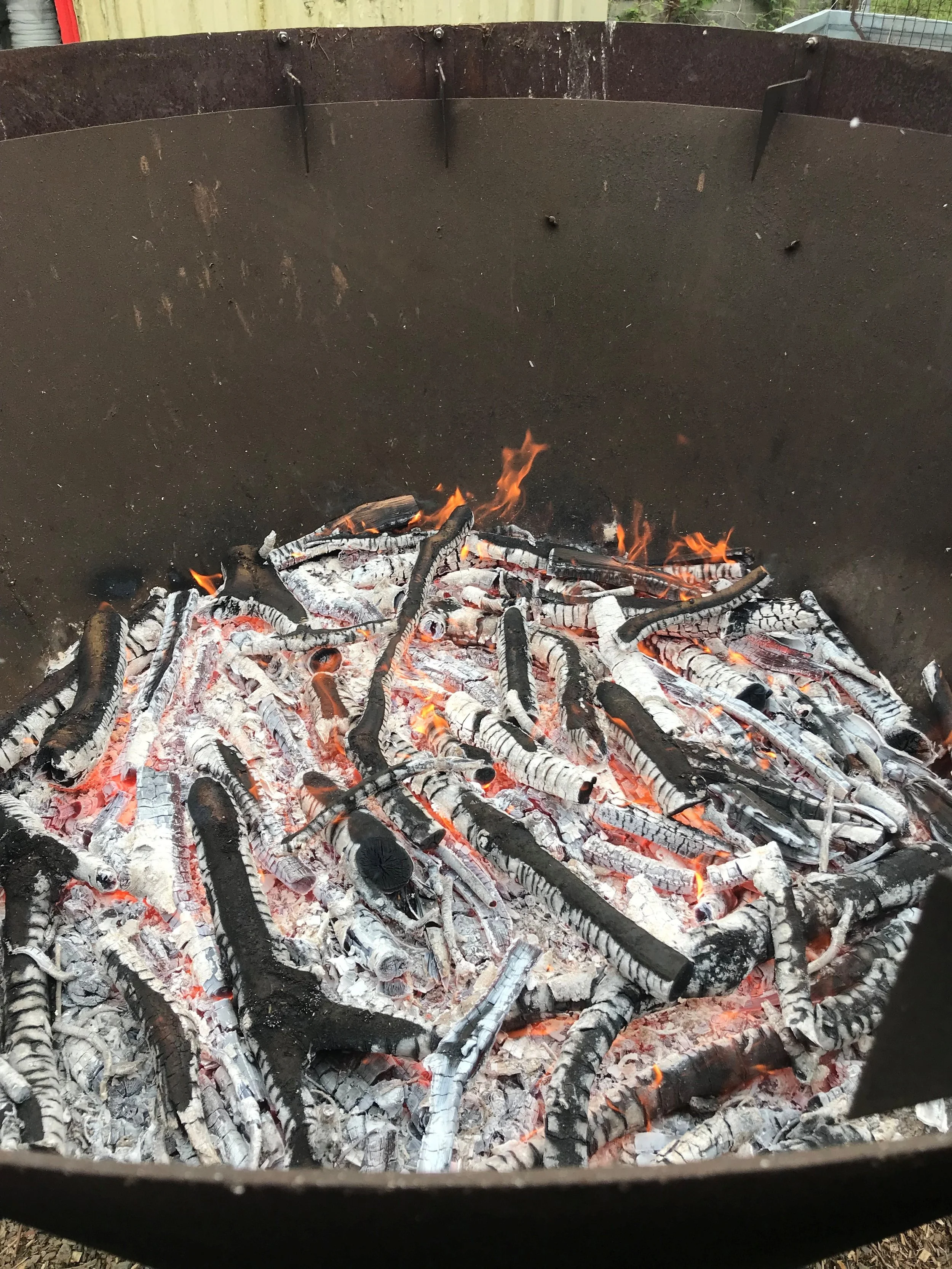 Biochar Magic with Peni Ediker