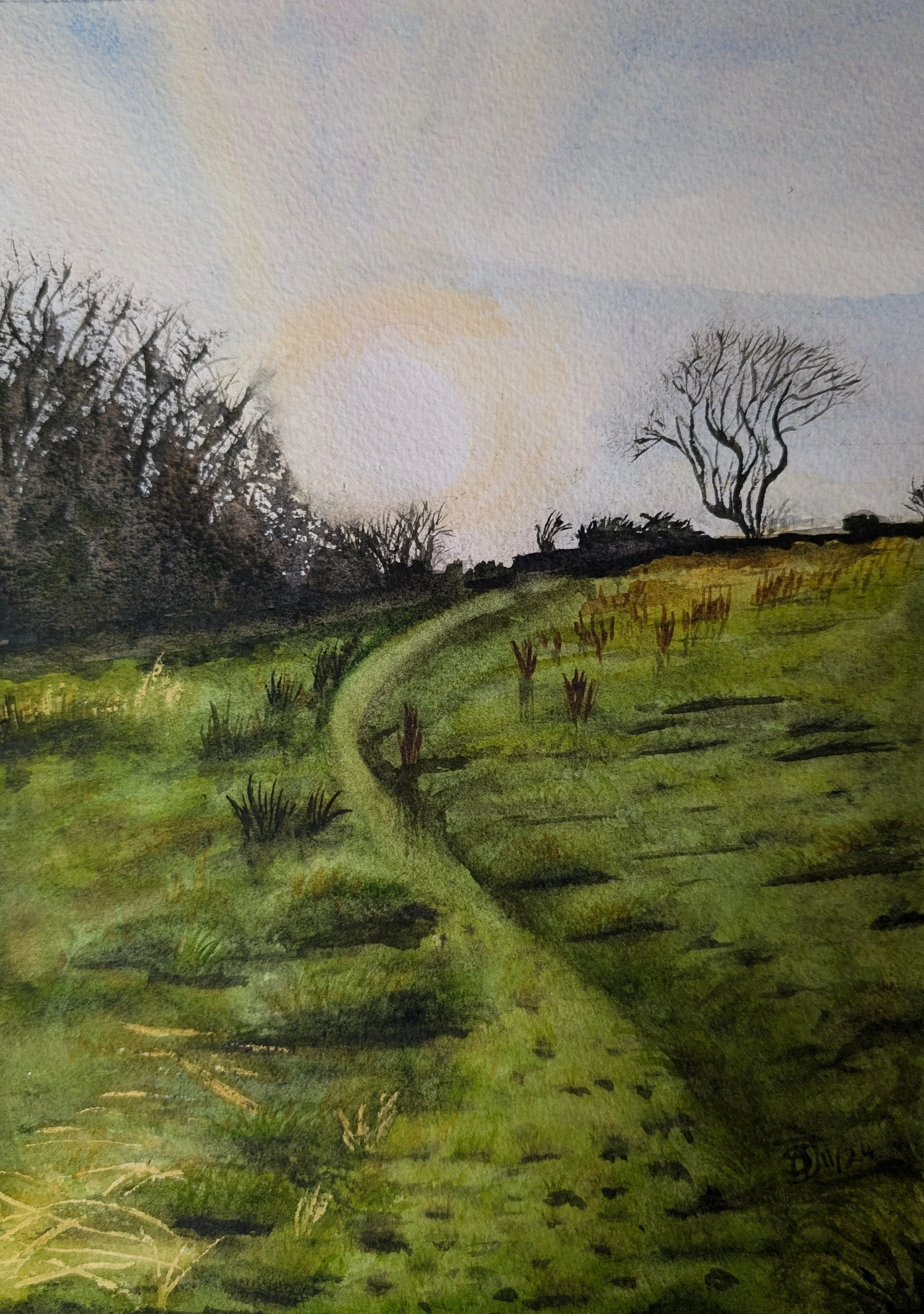 Su Jolly November 2024