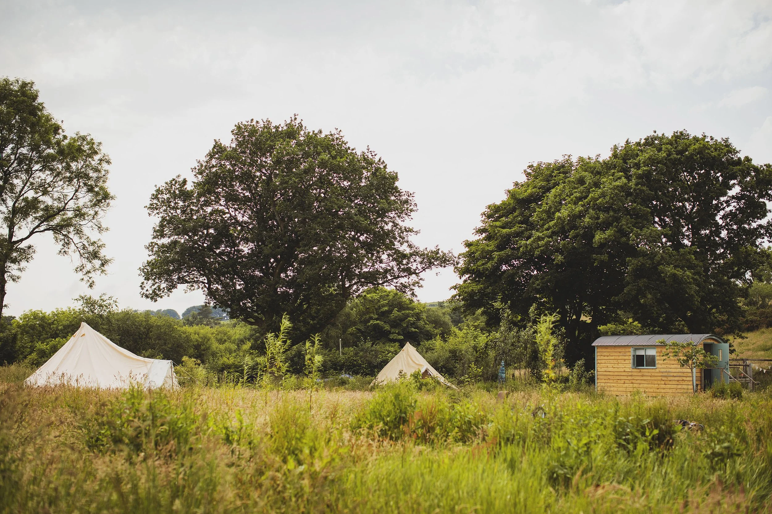 Heather_Birnie_Mud_and_Wool_Solstice_2025_050_web.jpg