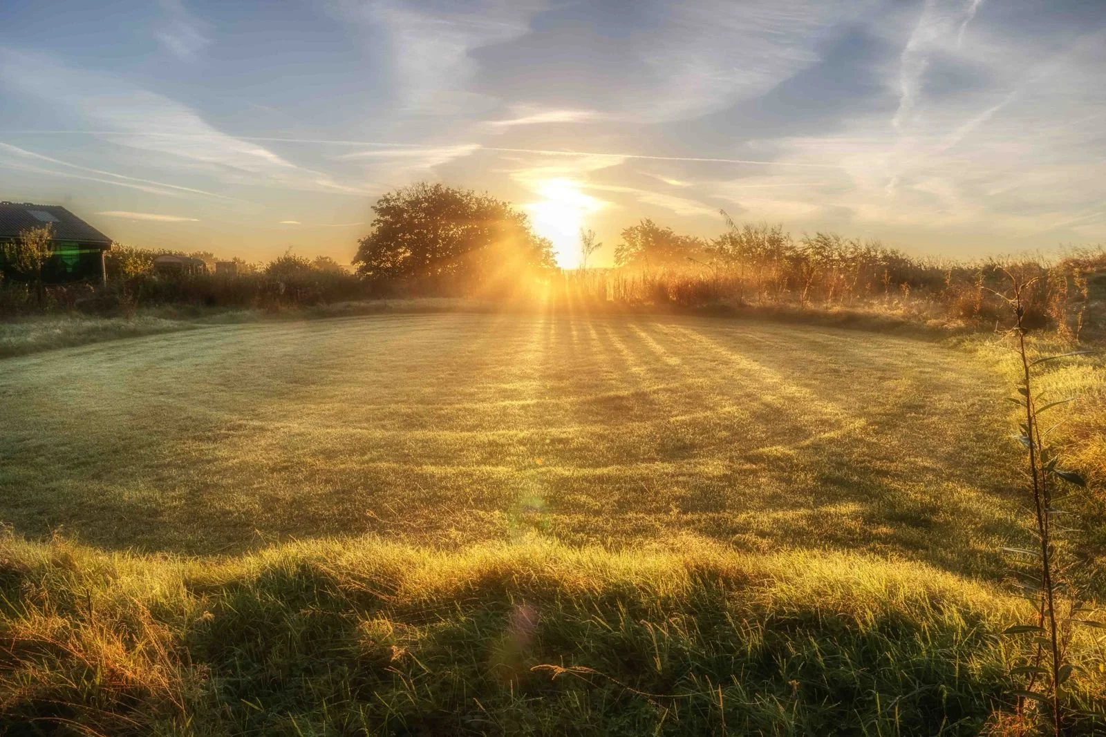 PRICING GUIDE MUD AND WOOL