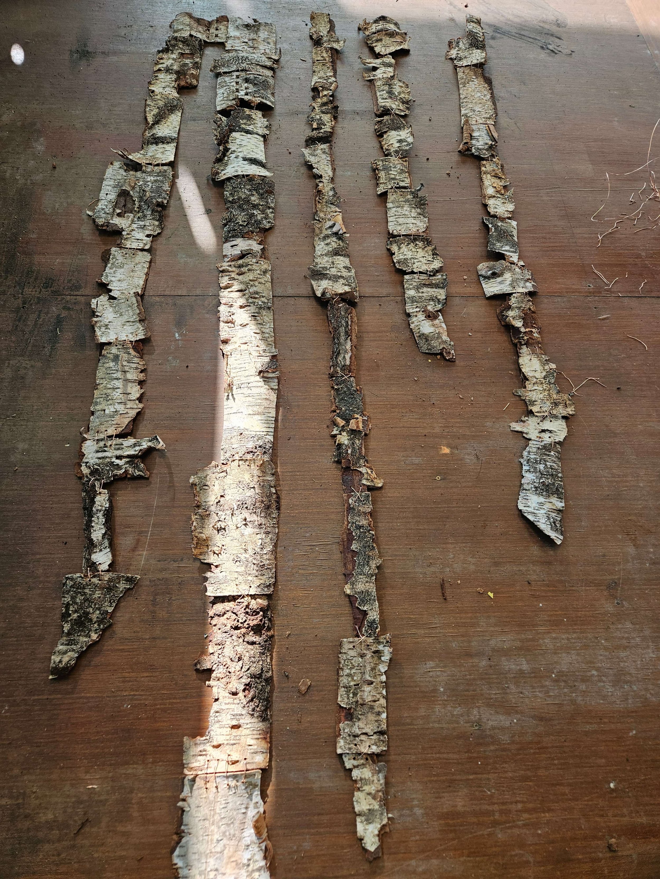 2026-02-28 14.26.22.jpg