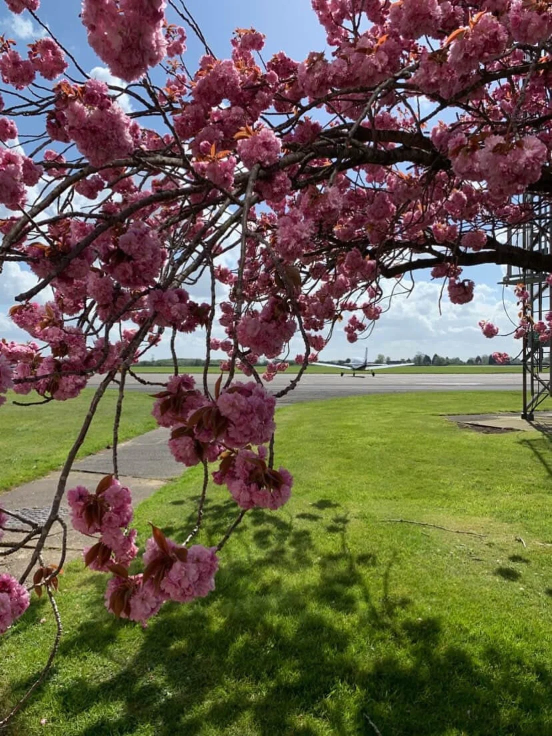 The blossom was really showing off by the runway yesterday.
 Spring has very much arrived at Leeds East 🌸✨