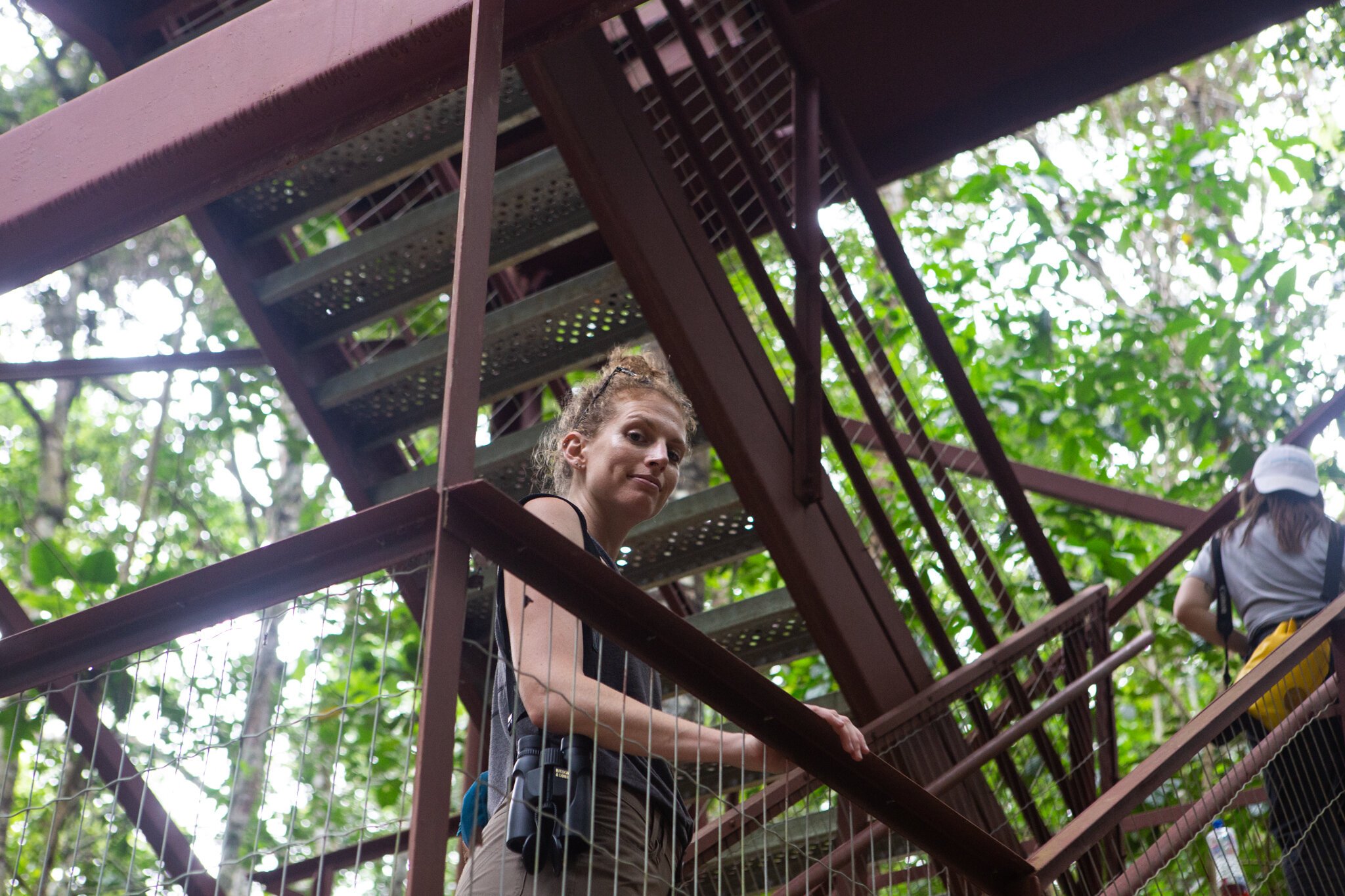 A woman with curly hair looking up from a metal staircase on a tree canopy walk in a forest.