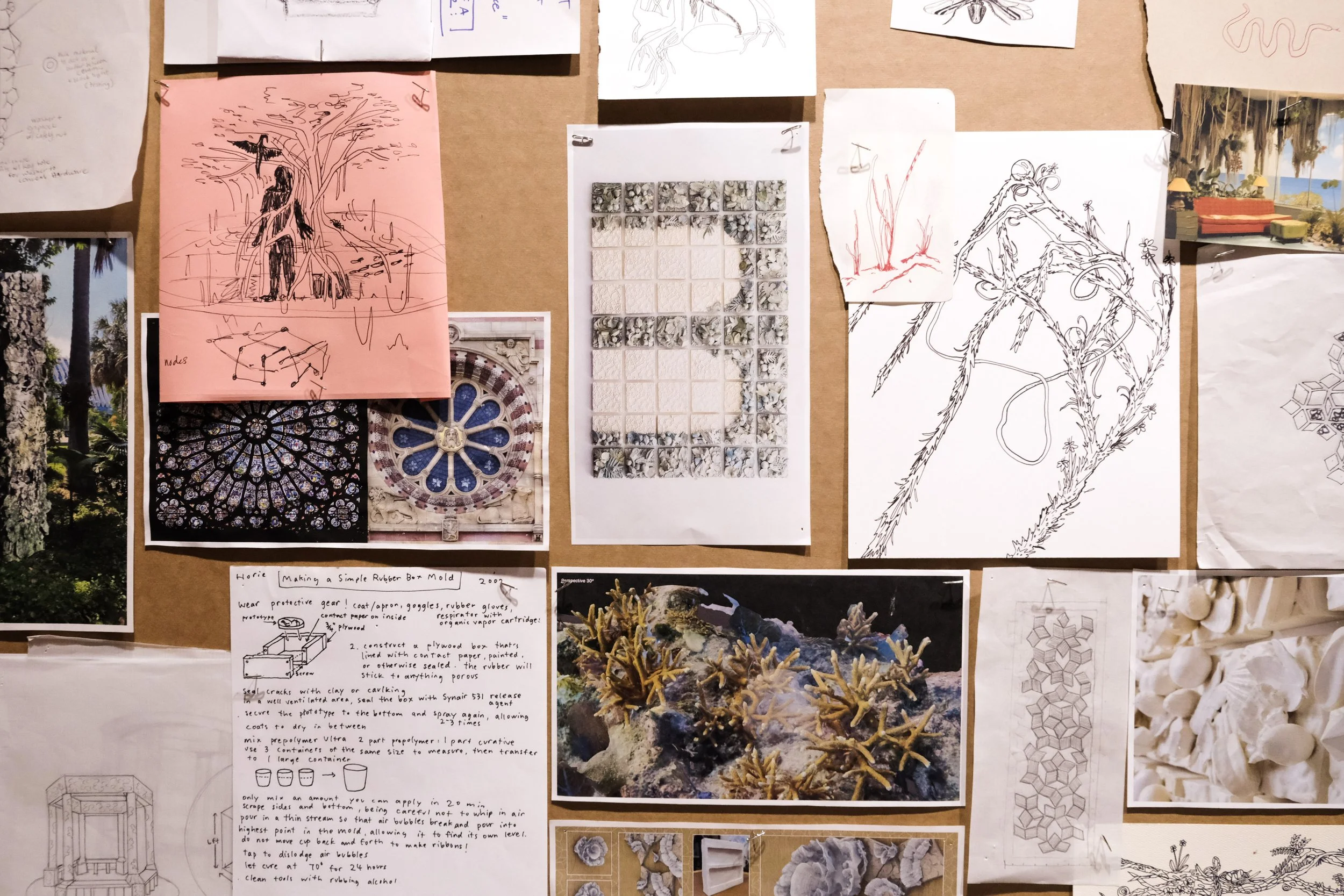 Research mood board wall in Lauren Shapiro’s studio at The Kampong, featuring botanical sketches, coral textures, archival images, and process notes for environmentally focused ceramic sculptures inspired by South Florida’s tropical ecology.
