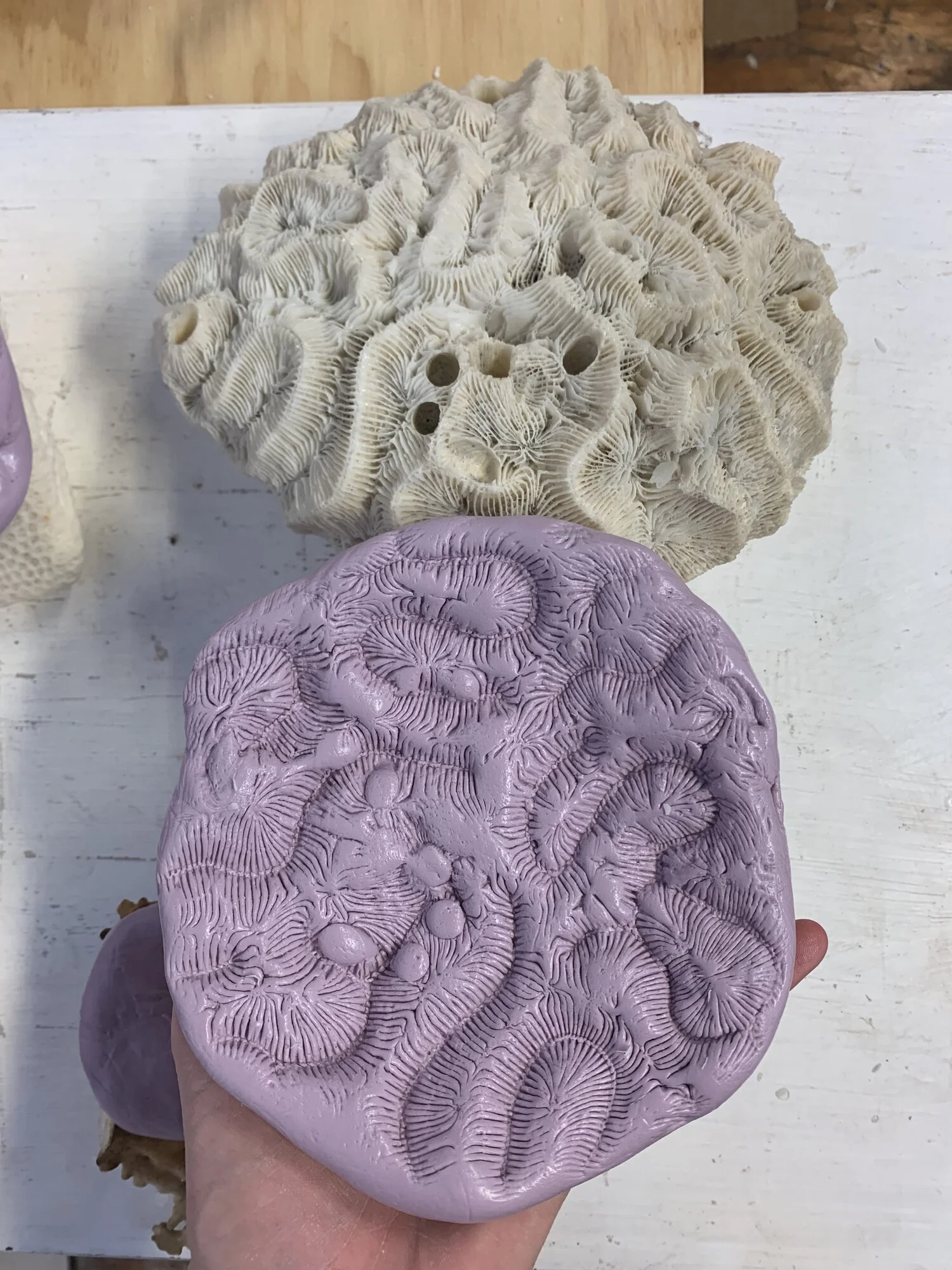 A person holding a purple silicone mold, with a larger white ceramic coral skeleton in the background on a white wooden surface.