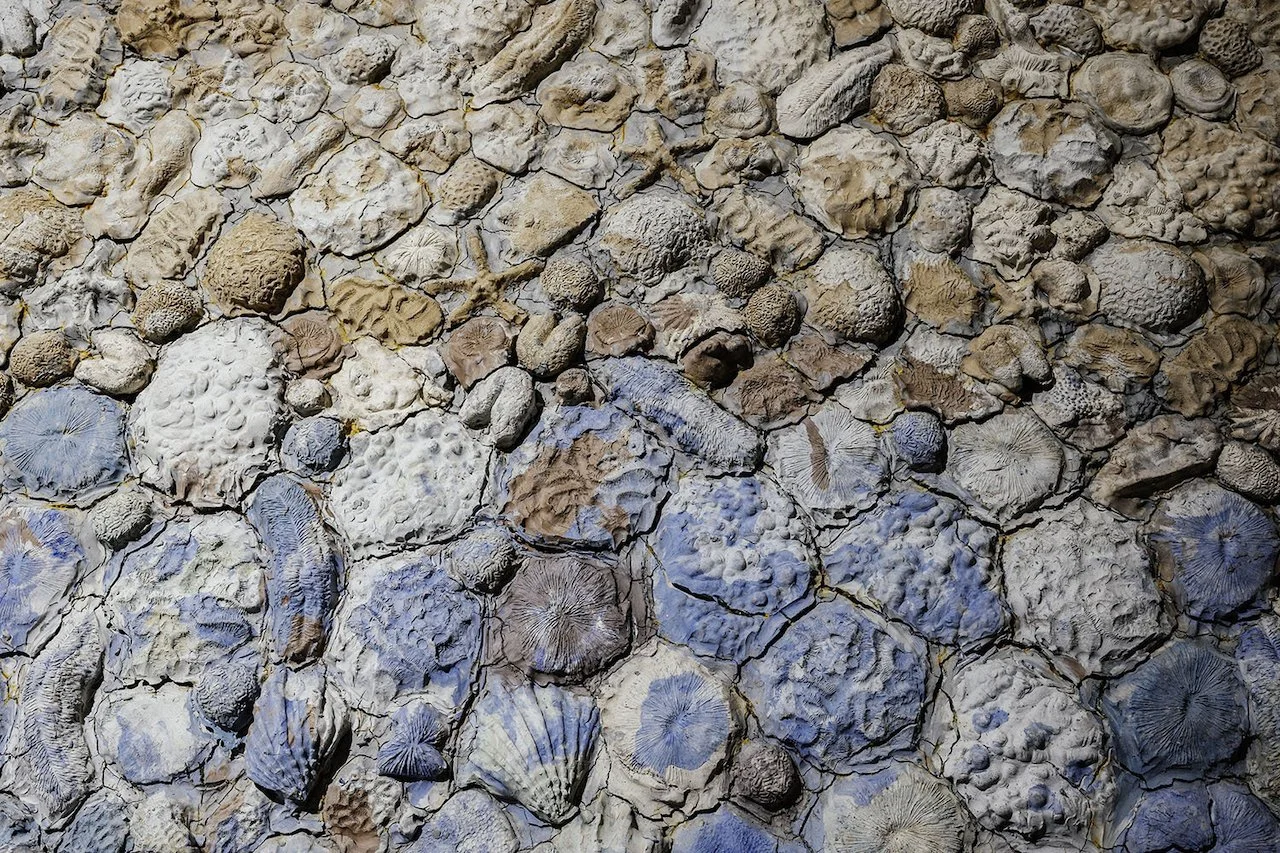 Close-up view of sculptural monumental sunken arches covered in clay forms like seashells and corals.