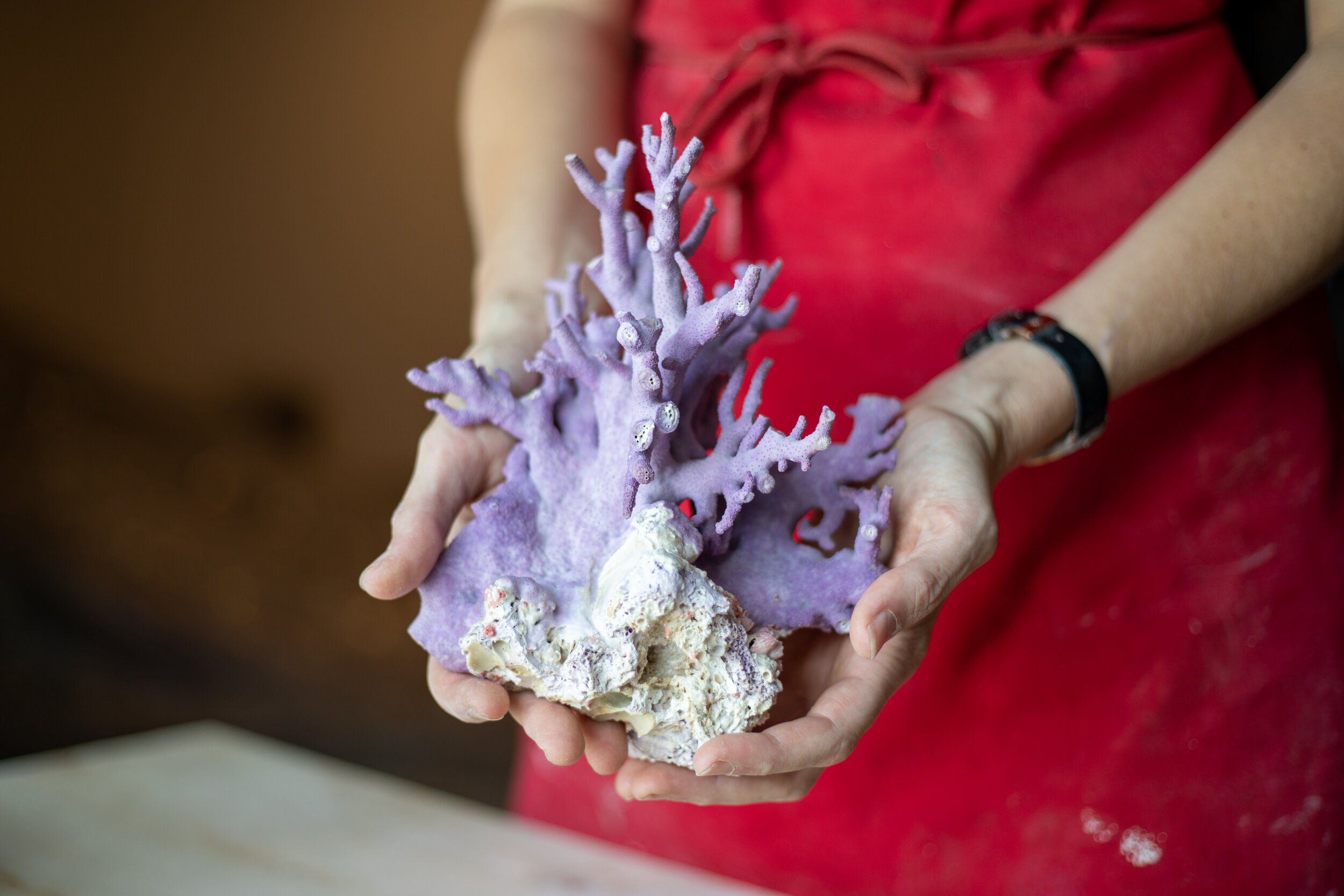 Person holding a piece of 3D printed coral with purple branches and white base.