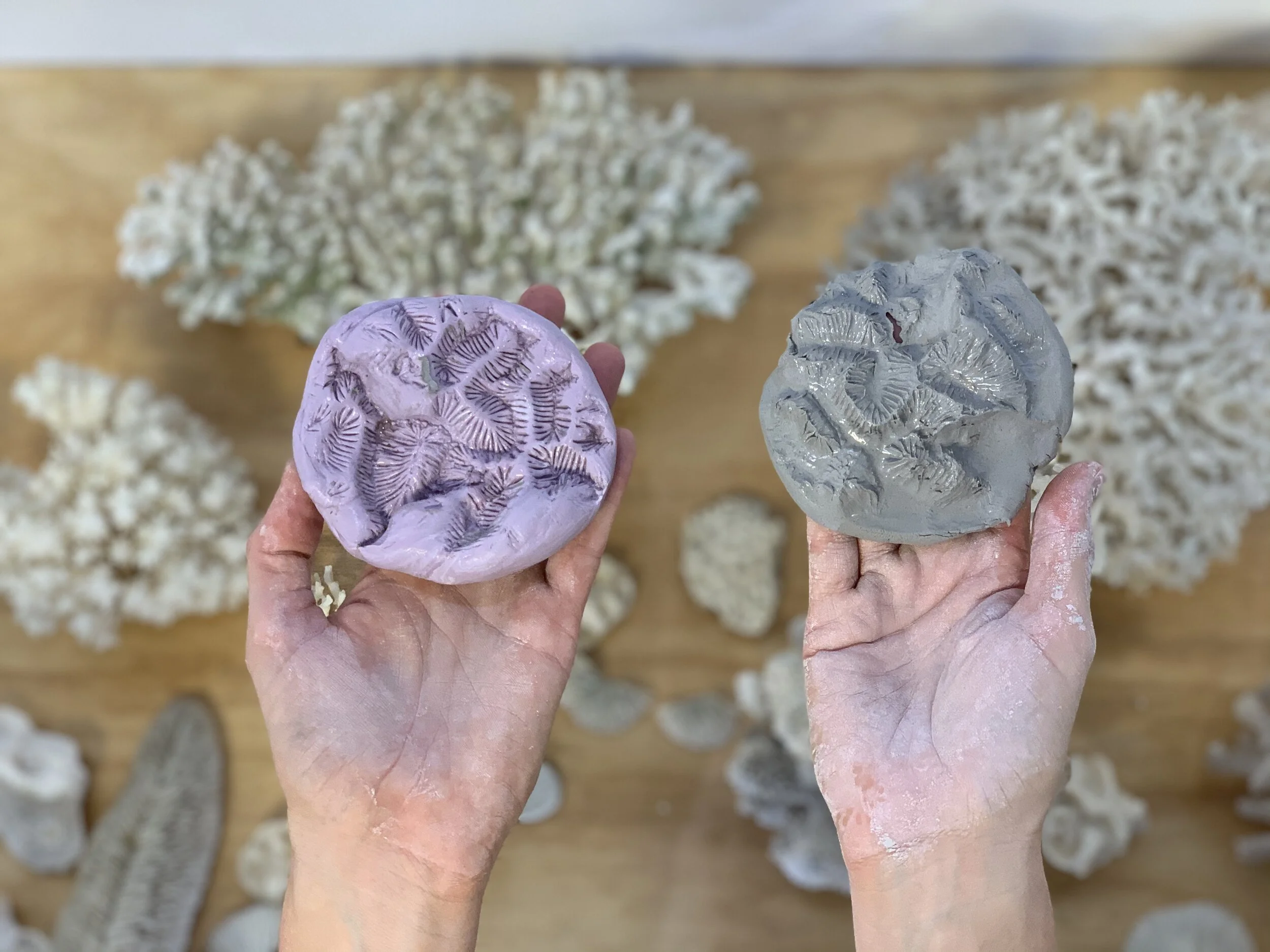 Two hands hold coral-shaped objects, one is silicone in a pinkish-purple hue and the other is clay, with white corals in the background.