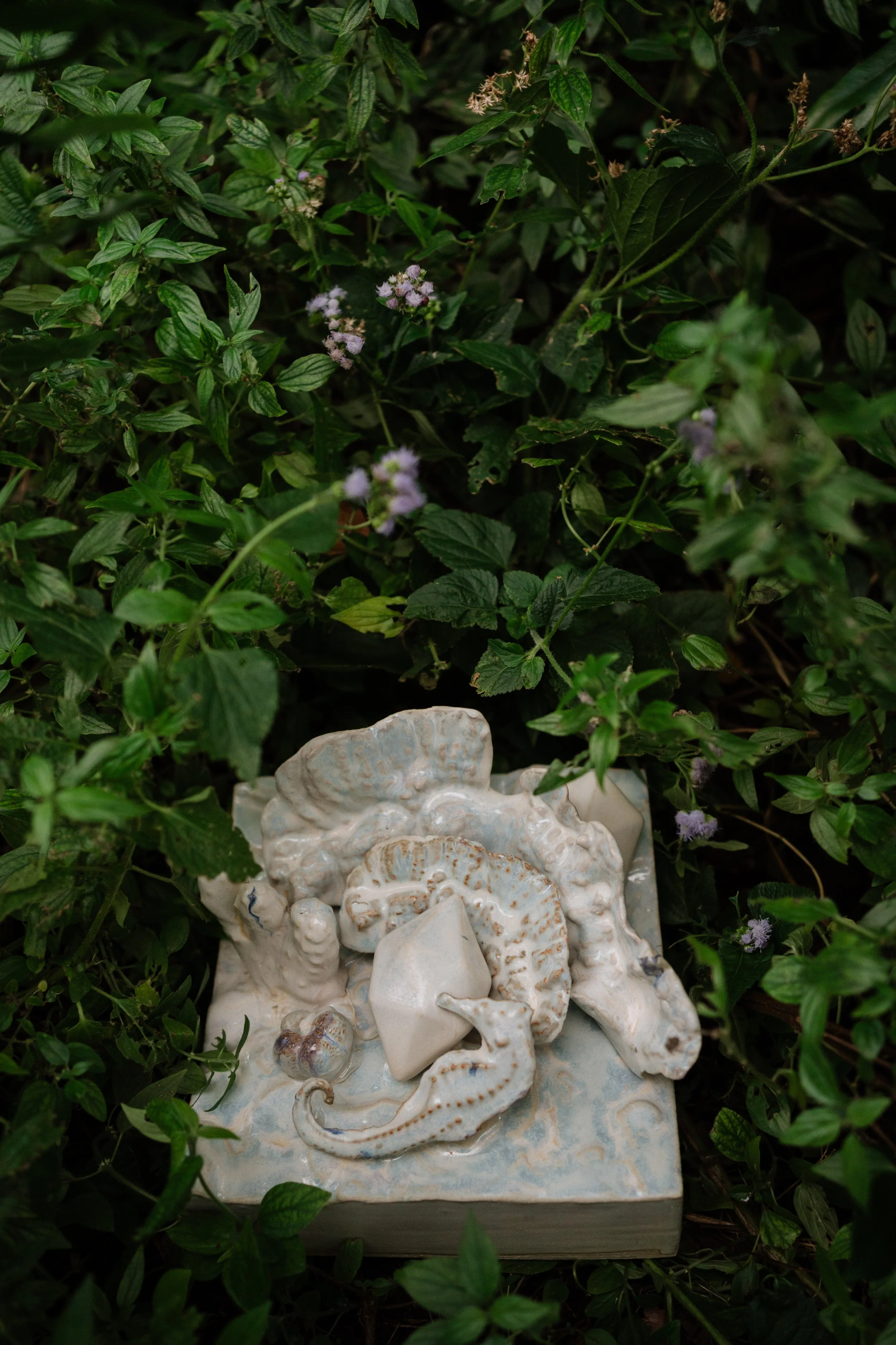 Ceramic tile artwork by Lauren Shapiro at Miami Beach Botanical Garden featuring raised coral and marine forms in soft coastal hues, part of her environmental sculpture series inspired by South Florida ocean ecosystems.