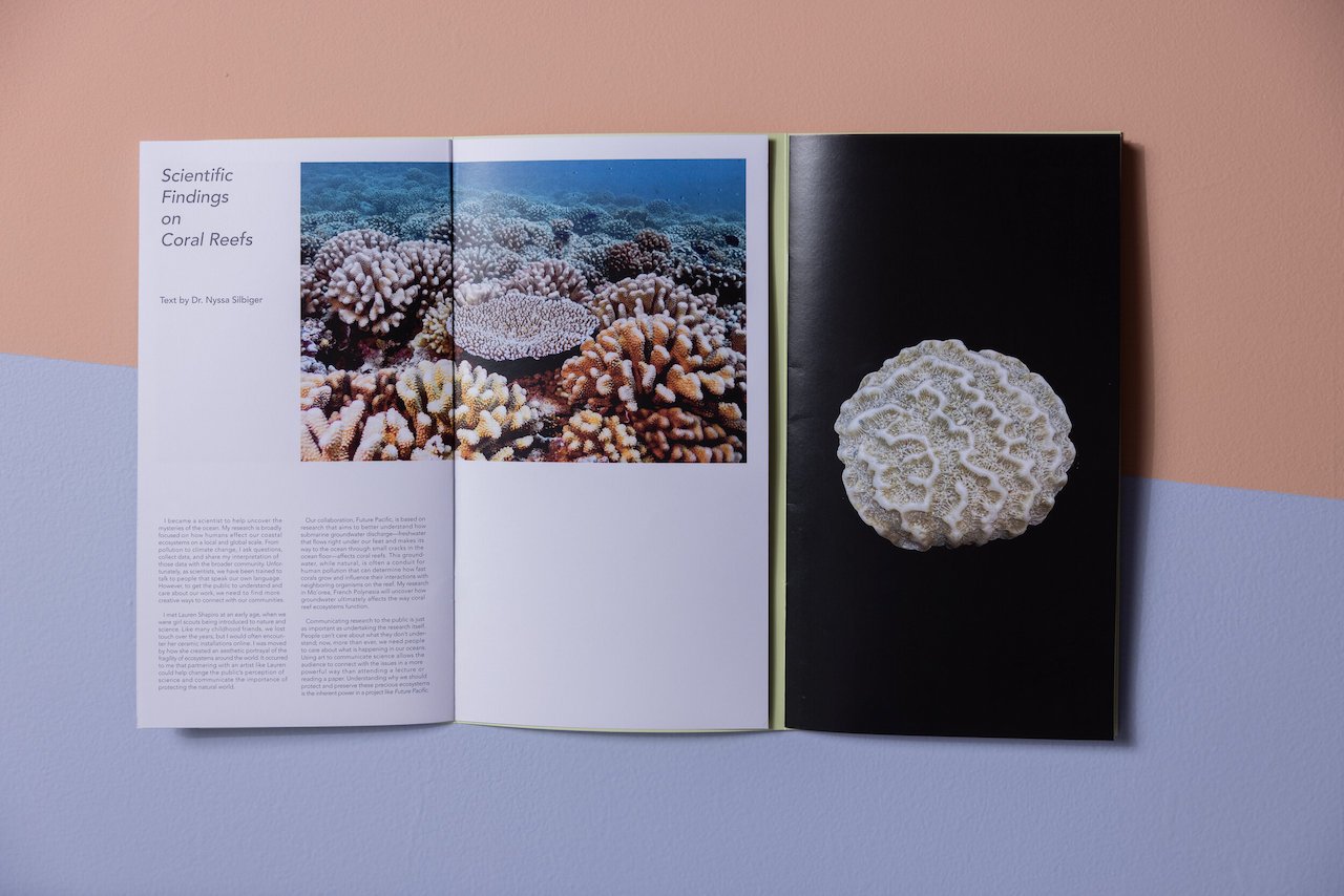 The Future Pacific catalog was designed by Exile Books, with essay contributions from Curator Laura Novoa, Marine Ecologist Dr. Nyssa Silbiger, and artist Lauren Shapiro. View and download a free digital copy.
