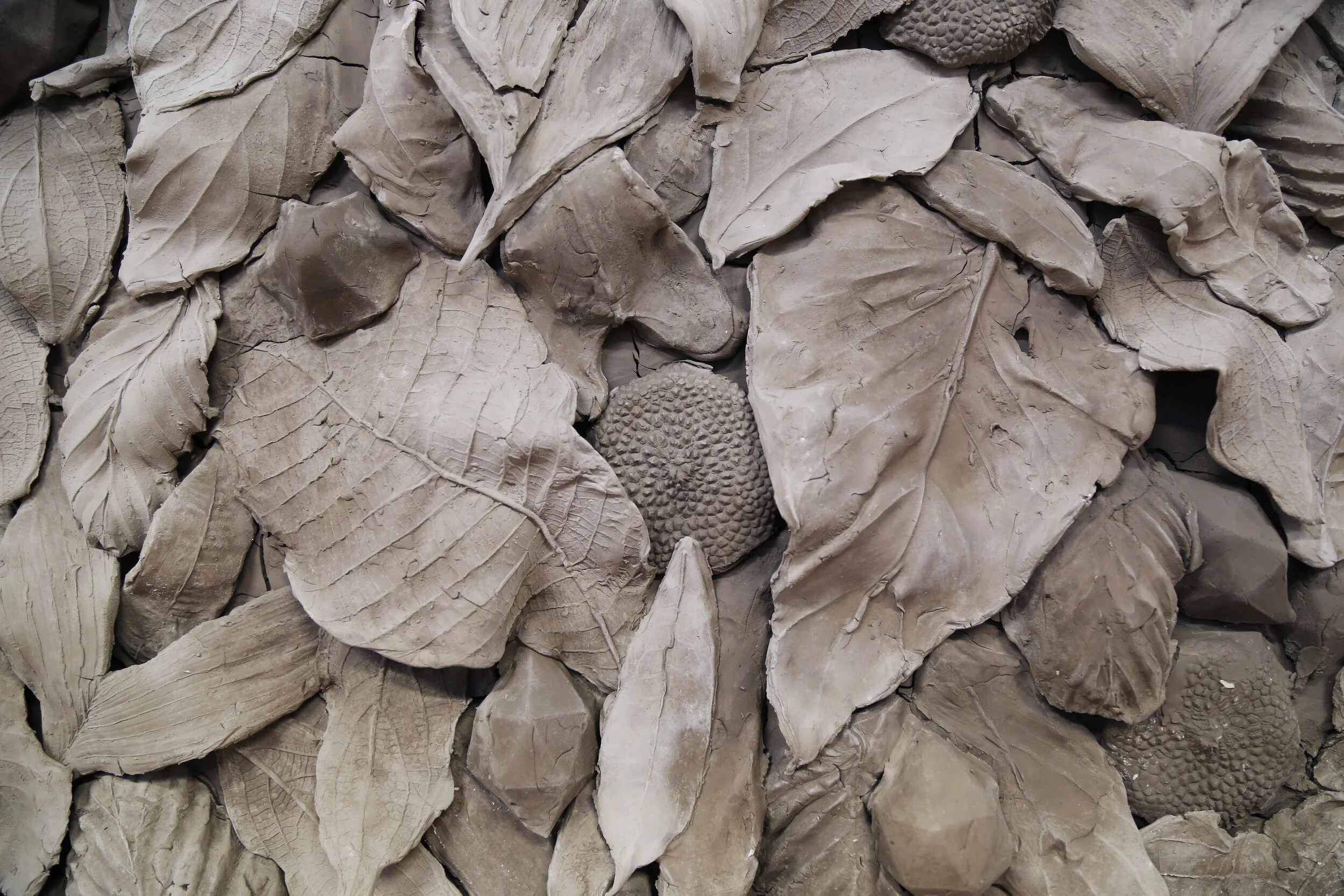 Dry brown leaves and seed pods layered on top of each other.