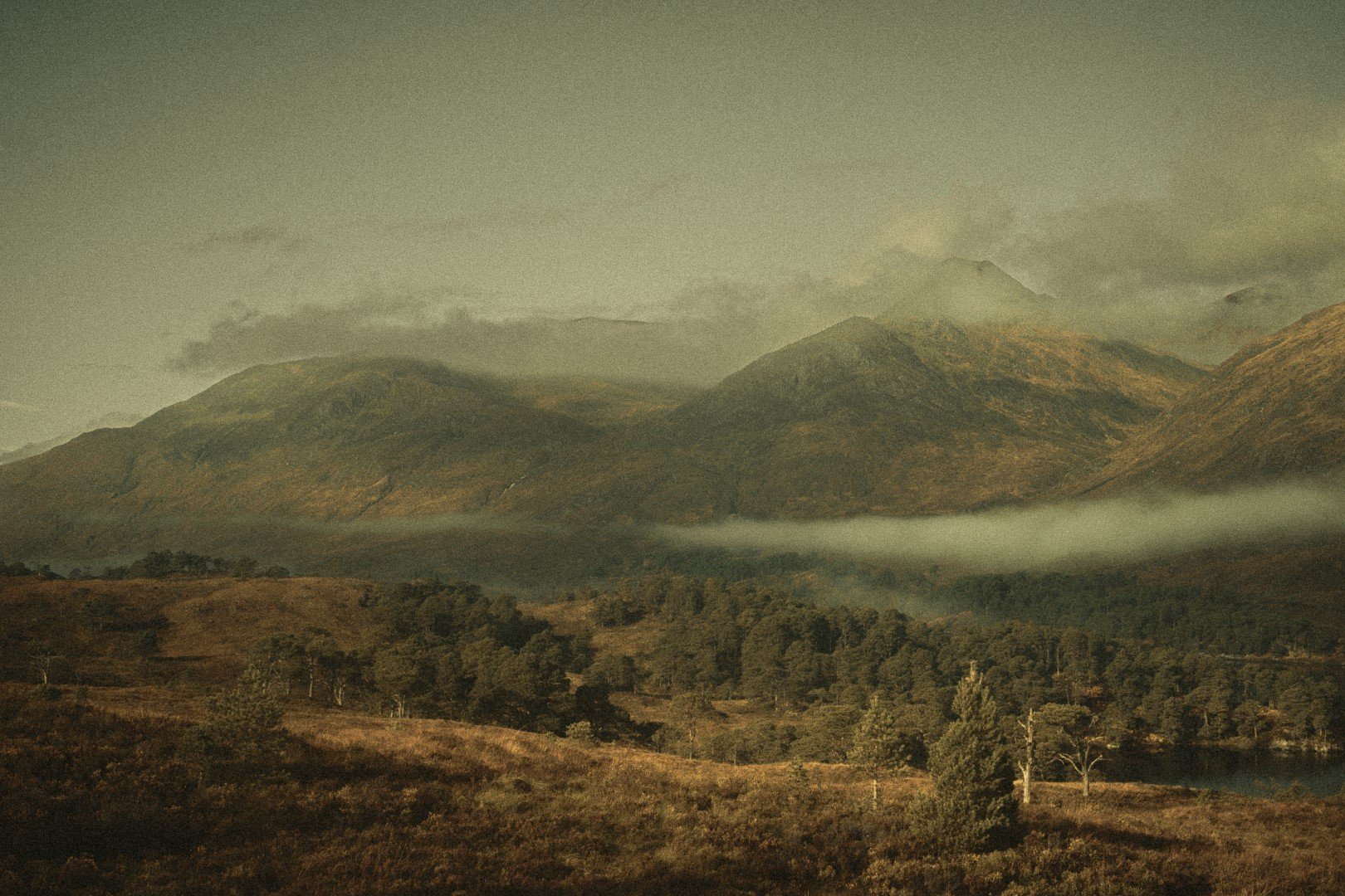 _1003980 (Grande).jpg