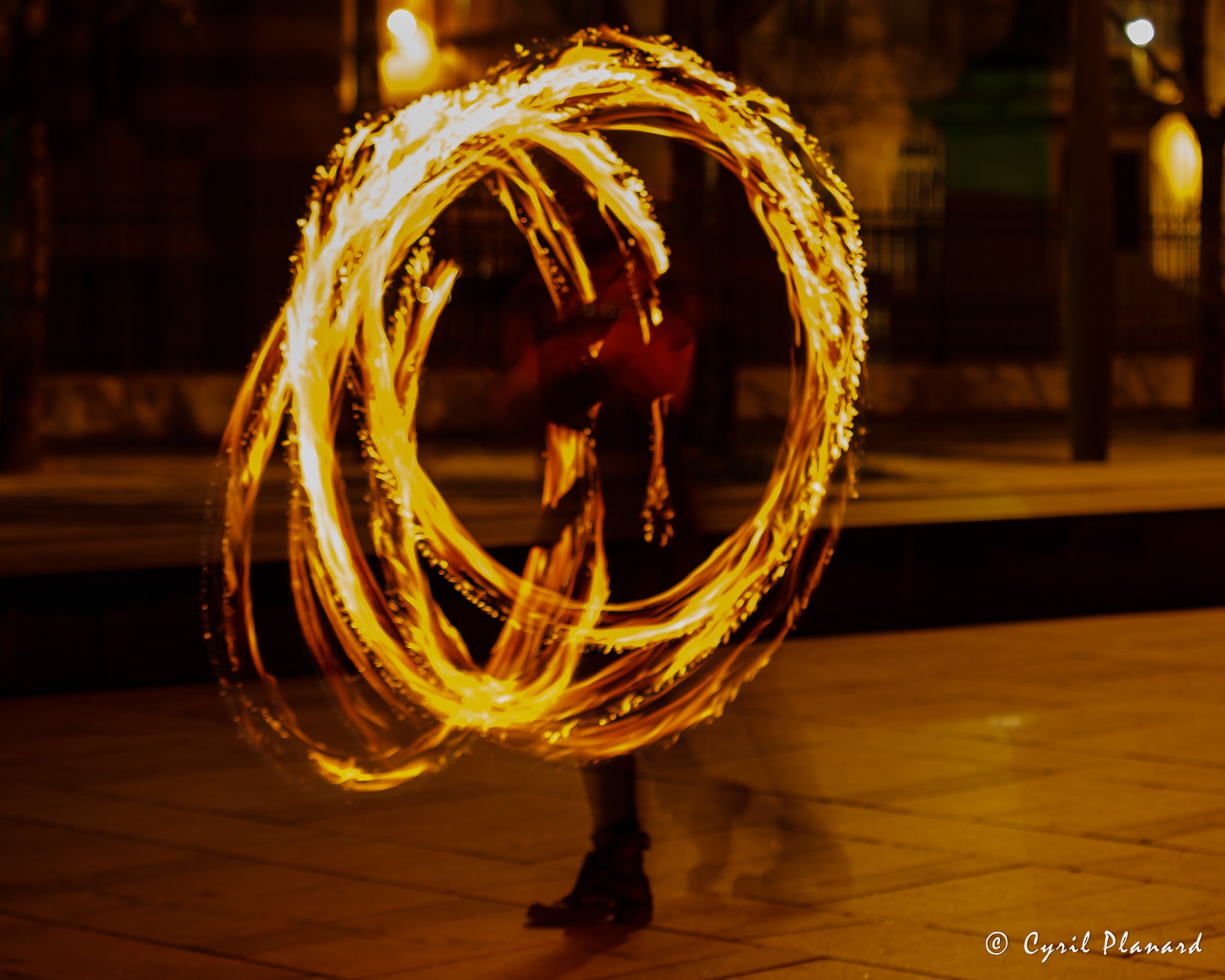 Tribal Anima @ la Major de Marseille le 22 octobre 2024-35.jpg