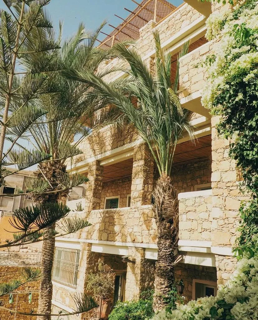 PHOTO-2026-03-02-14-57-42 2.jpg