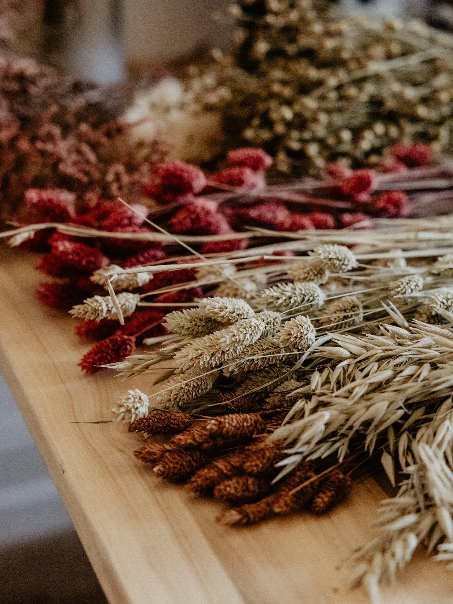 Kranzbinden mit Trockenblumen | kreativ Workshop in Solingen

Binde deinen ganz pers&ouml;nlichen Kranz aus Trockenblumen und mit einem individuellen Schriftzug. Ein absoluter Hingucker an deiner Wand, deiner Wohnungst&uuml;r oder als besonderes Gesc