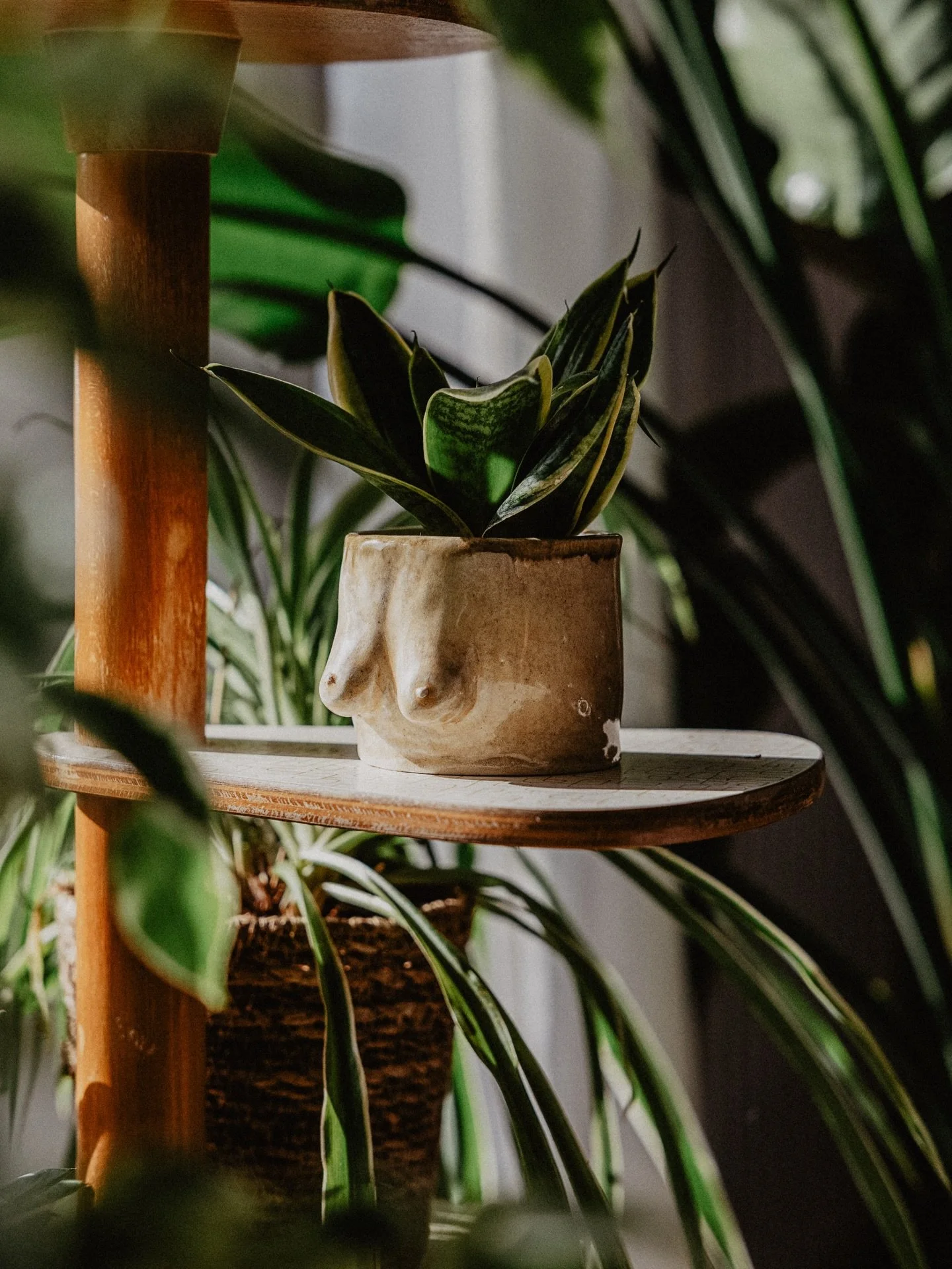 macht euch einen sch&ouml;nen Sonntag und feiert eure Weiblichkeit 💪🏼

wollte eigentlich keinen besonderen Beitrag zum Weltfrauentag machen, aber dann wurde mein Blumentopf gerade so sch&ouml;n von der Sonne angestrahlt 🤭

habe ich im Workshop bei