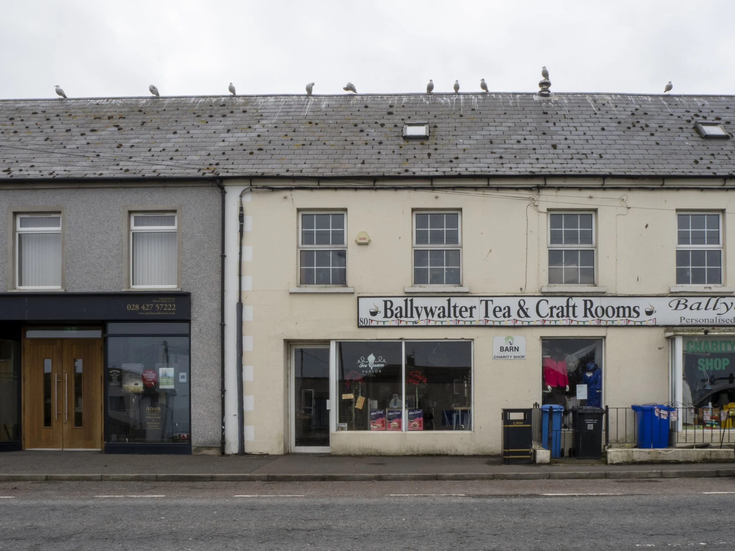 ballywalter tea and birds.jpg