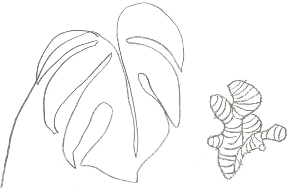 Monstera_Ginger@2x.jpg