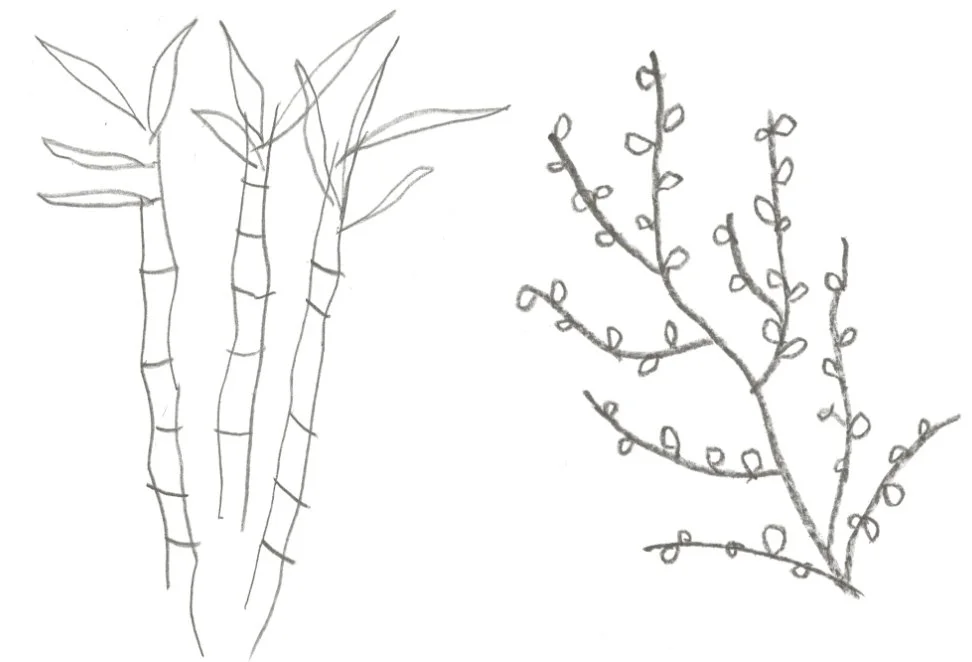 Bamboo_CherryBlossom@2x.jpg