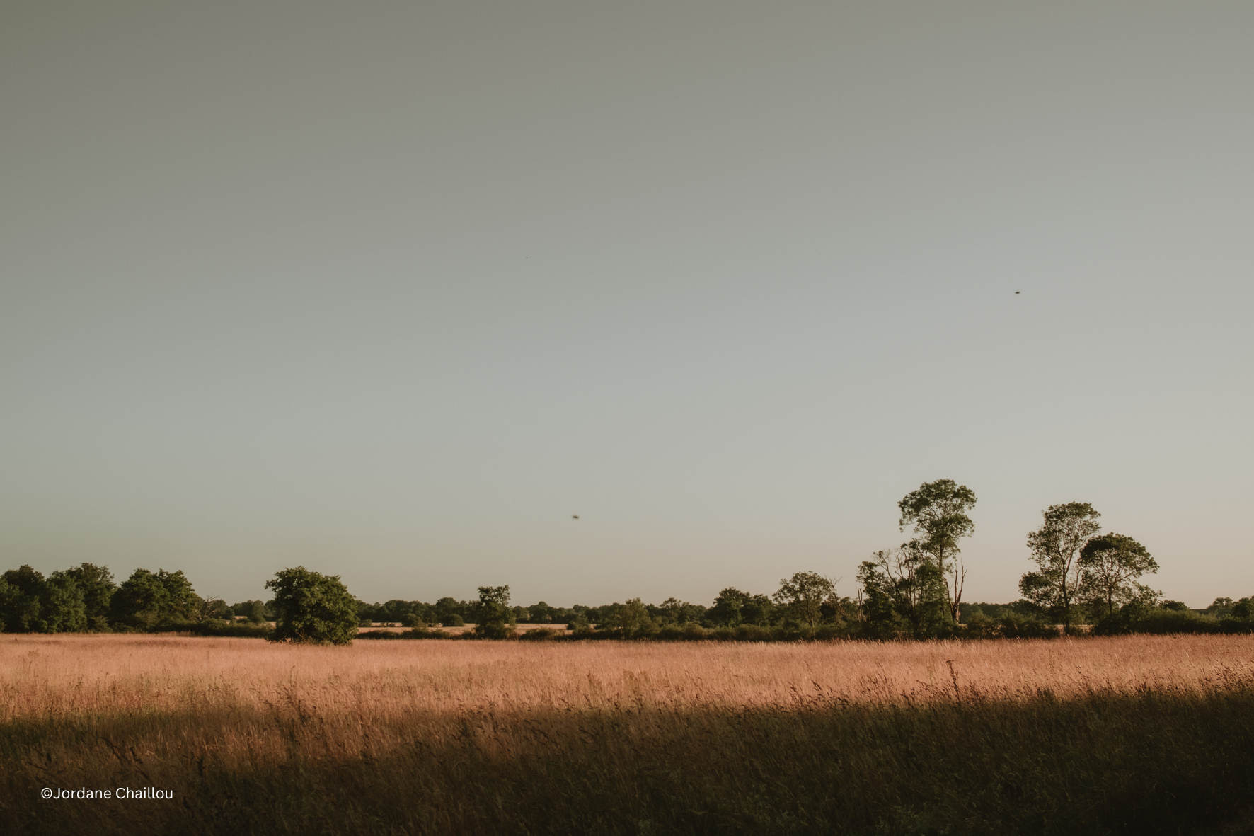 Prairies naturelles Maison de Campagne.png