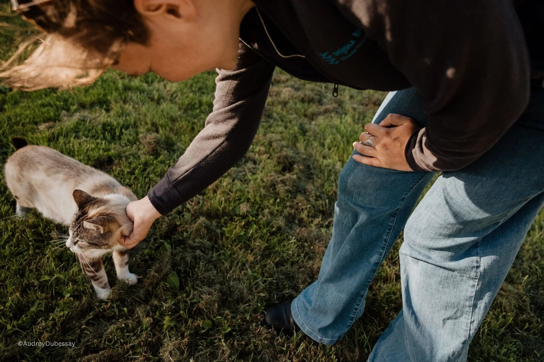 Une personne caresse un chat dans un champ herbeux. La personne porte des vêtements décontractés et une bague à la main. La scène se déroule probablement en plein air.