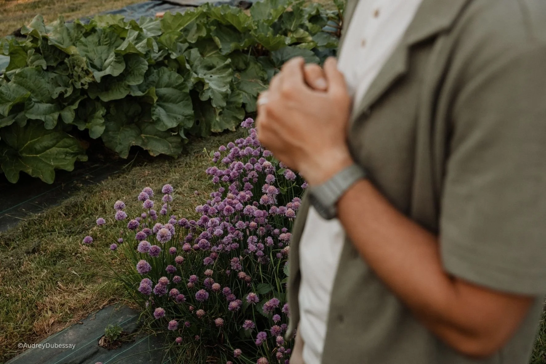 Person regardant des fleurs violettes dans un jardin, avec des plantes vertes en arrière-plan.
