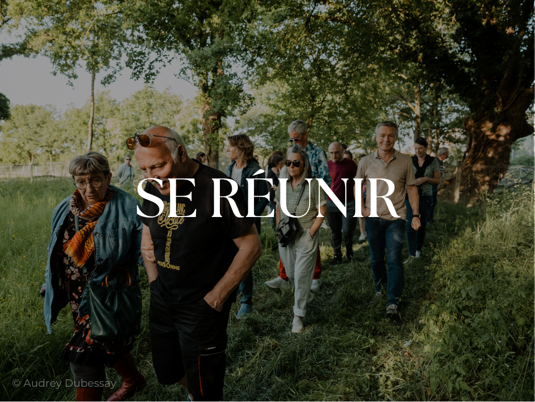 Moment naturel pour réunir vos équipes