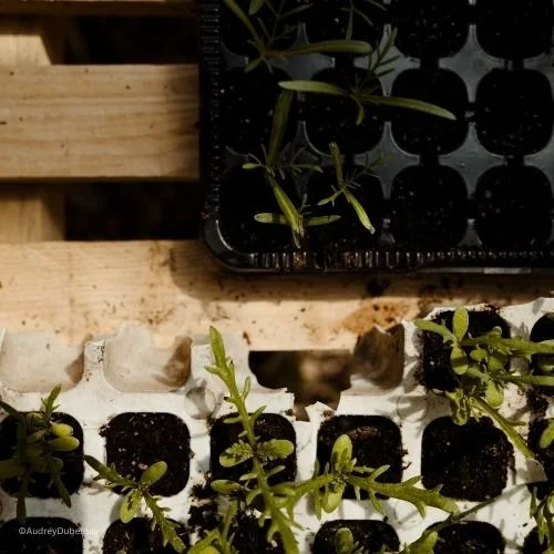 Des producteurs locaux responsables