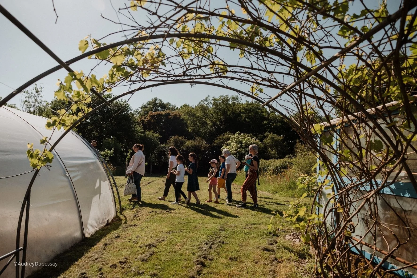 Groupe de personnes en file dans un jardin ensoleillé, avec des serres en plastique et des arbres en arrière-plan, vu à travers une arche recouverte de vignes.
